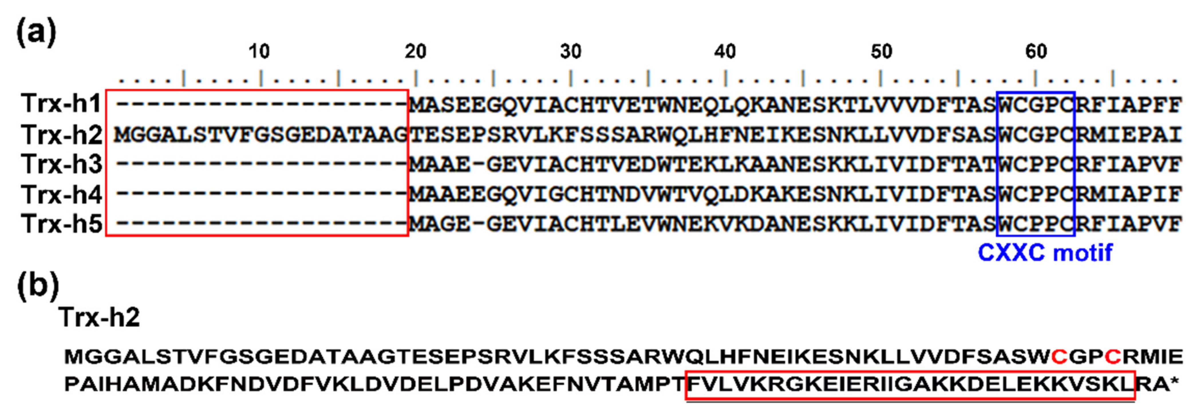 Applsci 11 06865 g001