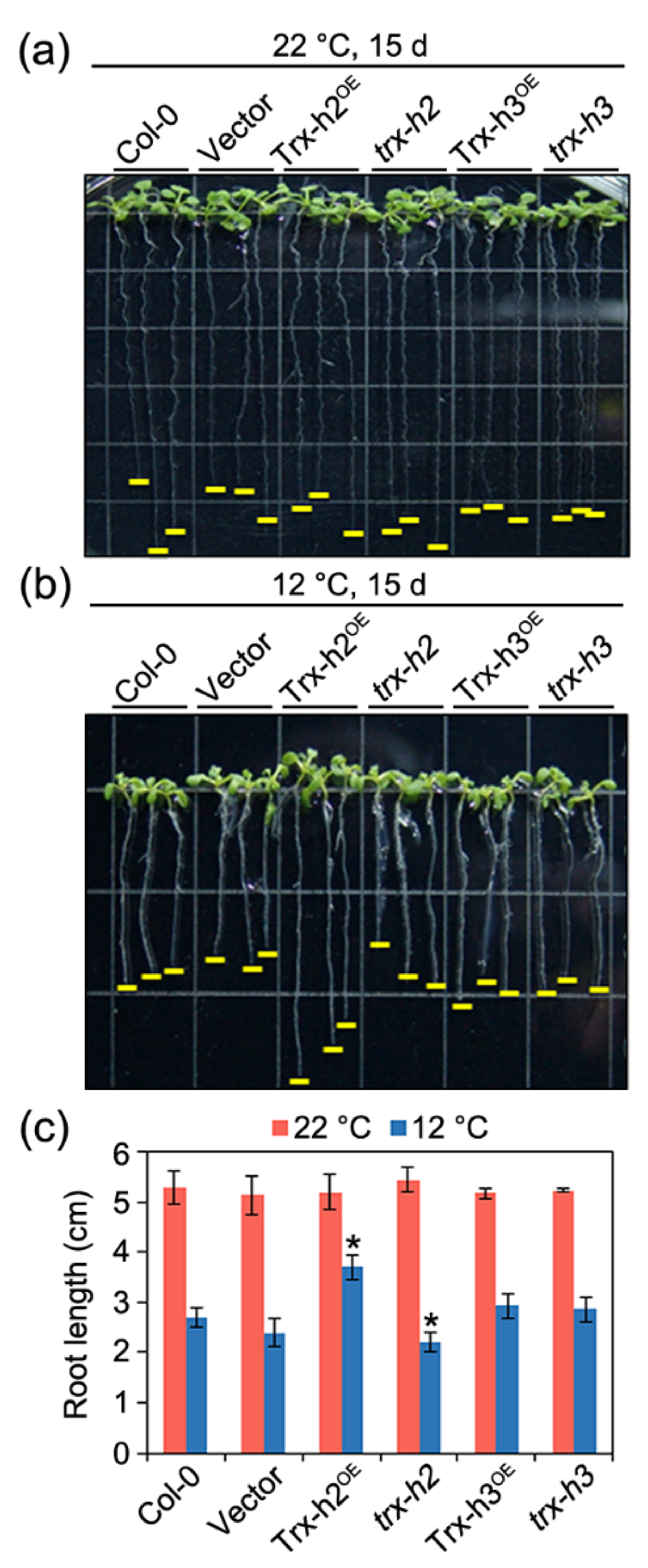 Applsci 11 06865 g003