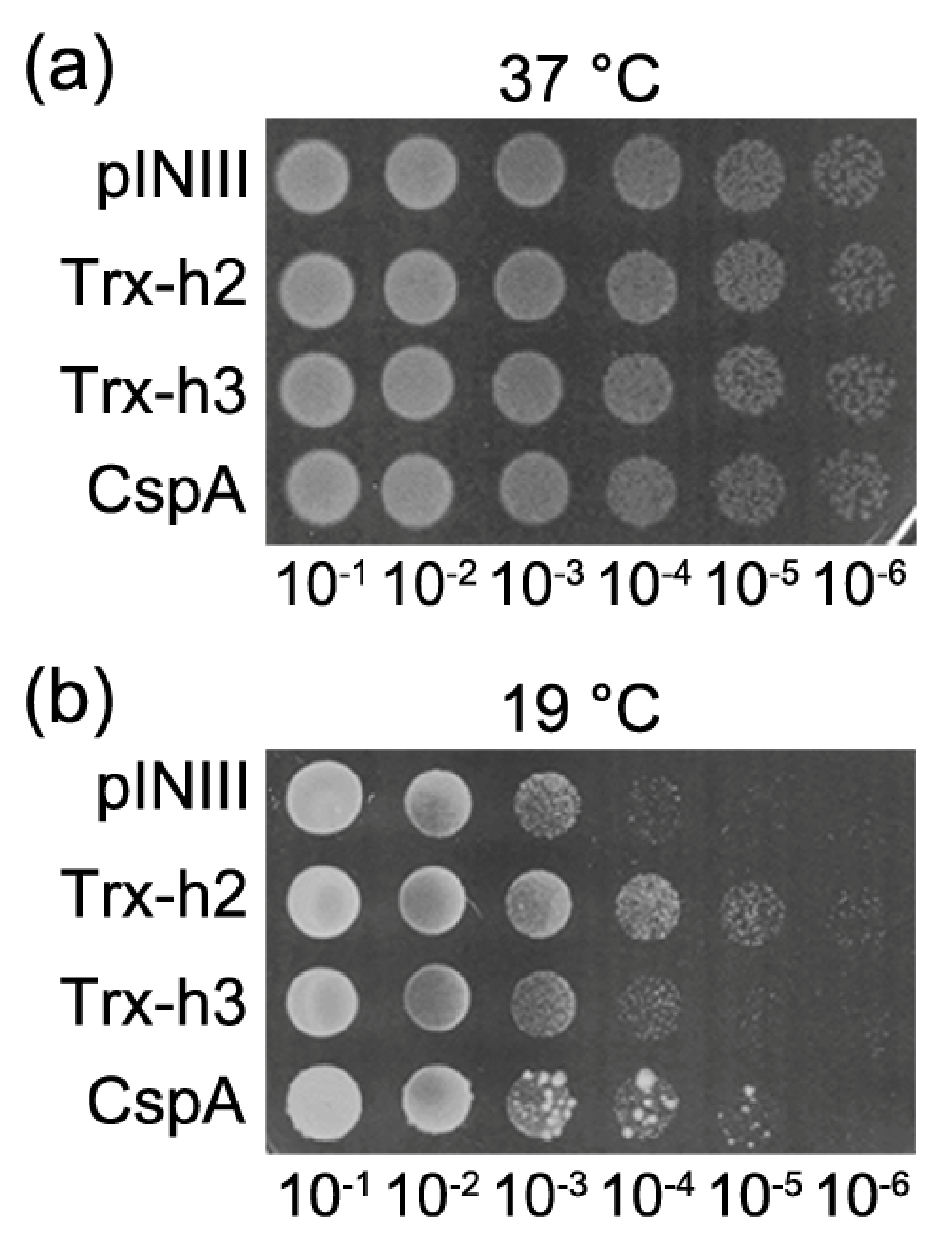 Applsci 11 06865 g004