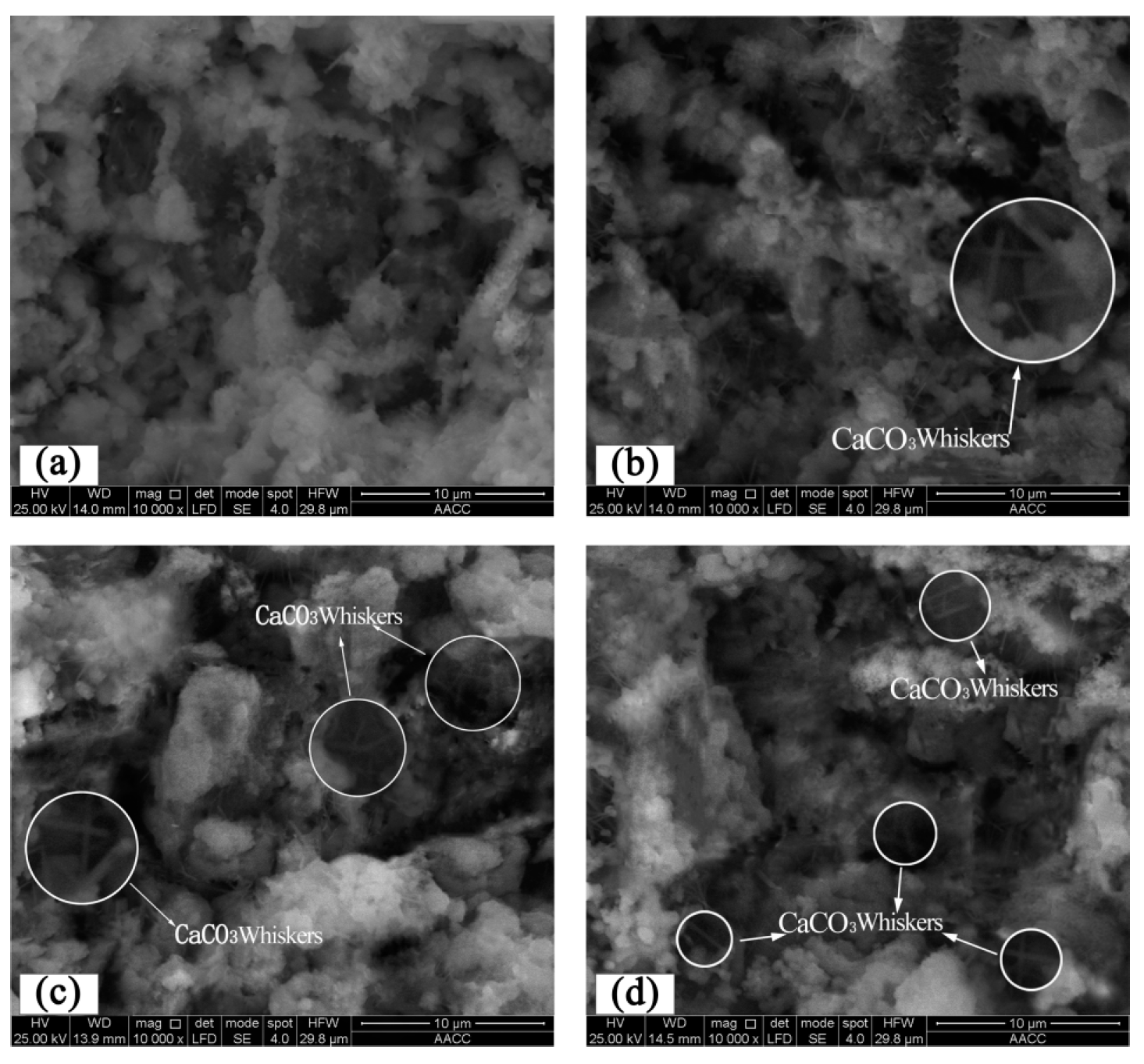 Applsci 11 06877 g012