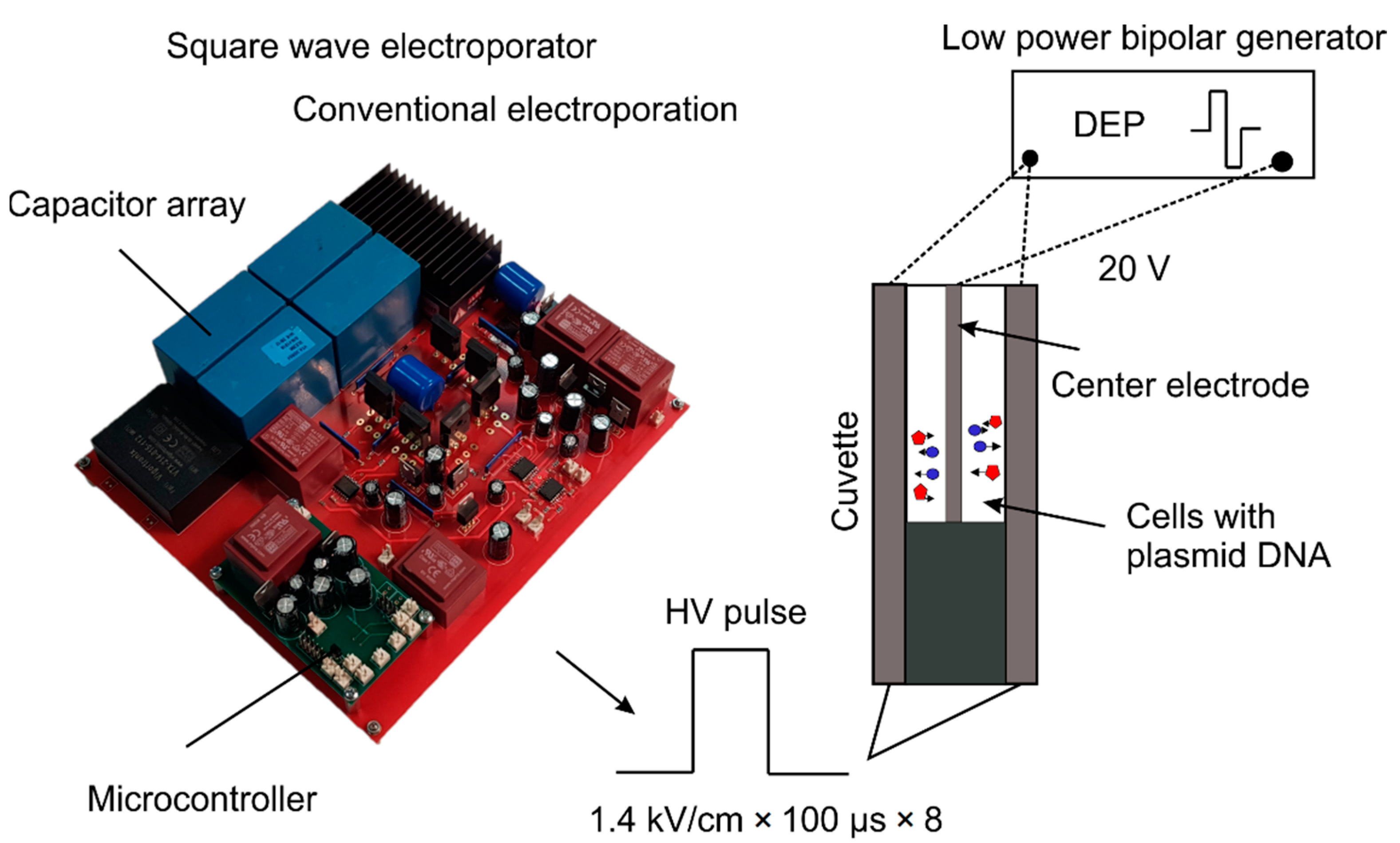 Applsci 11 07015 g001
