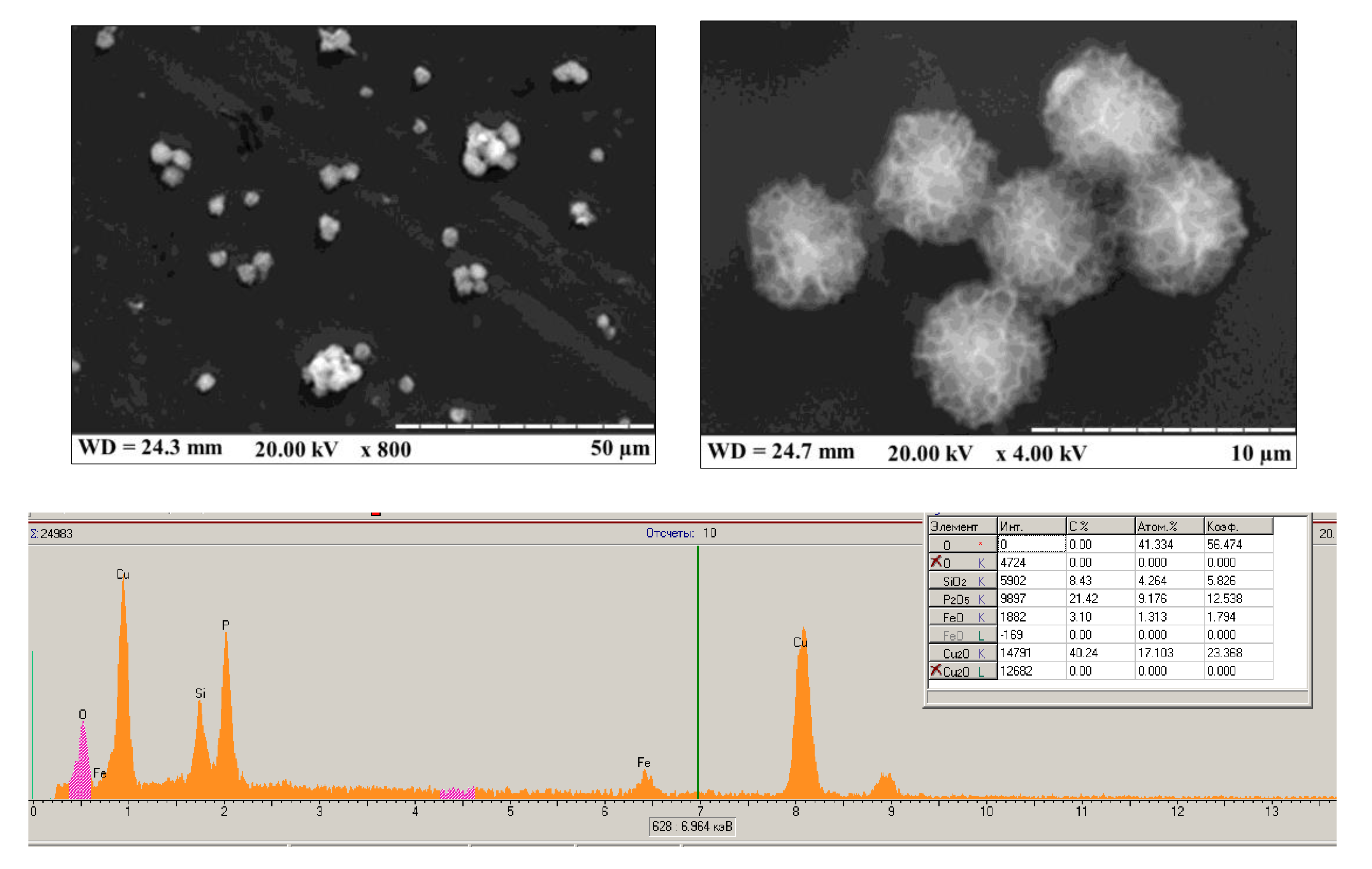 Applsci 11 07024 g0a3