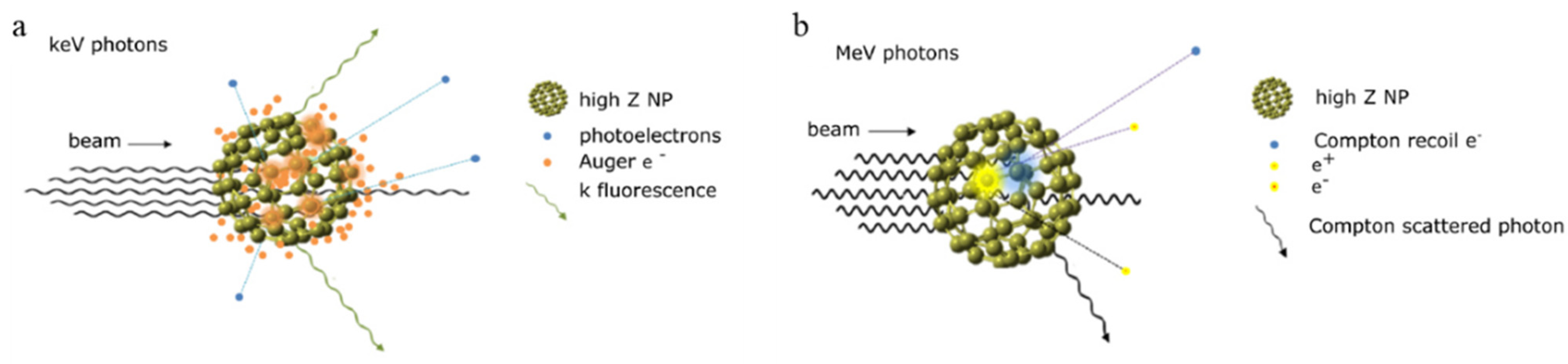 Applsci 11 07073 g002