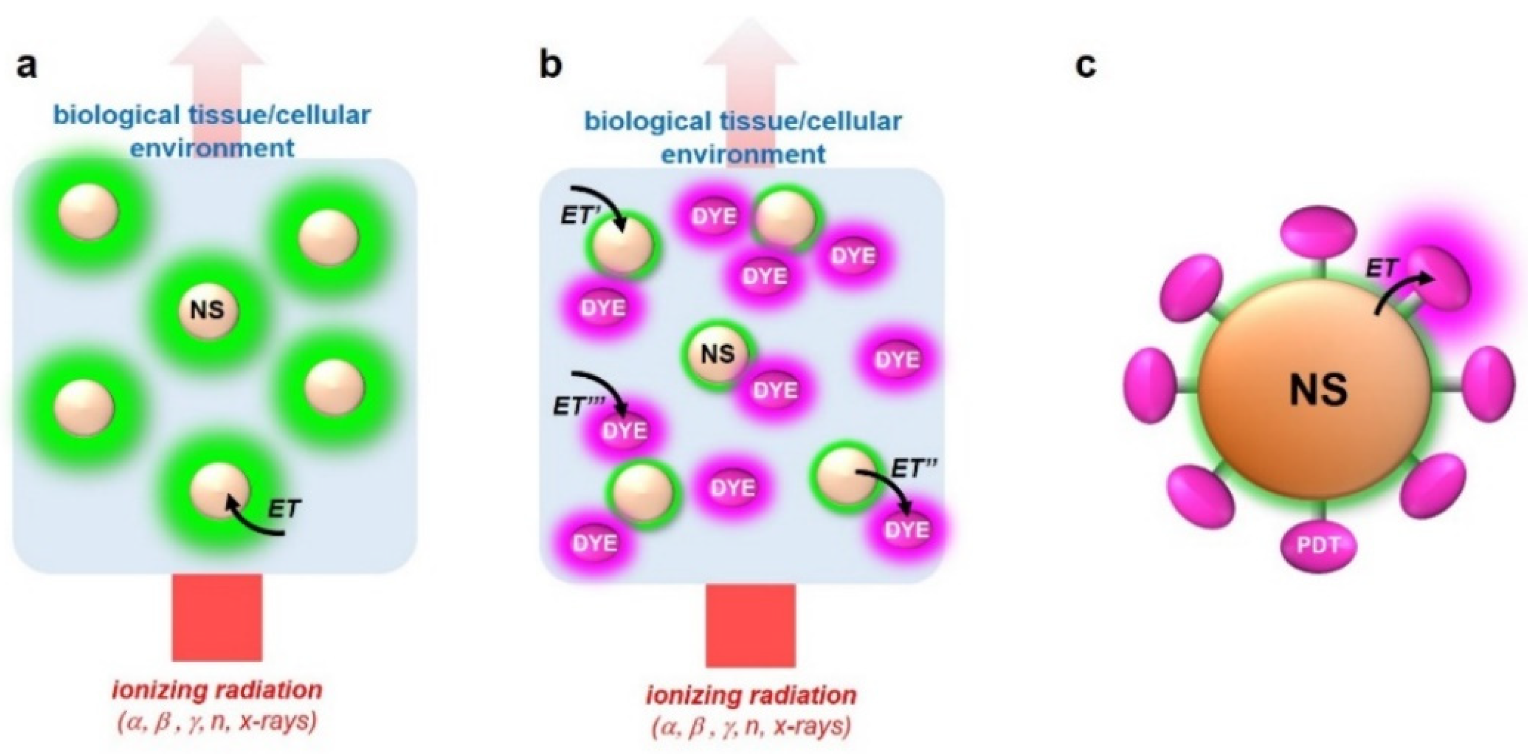 Applsci 11 07073 g004