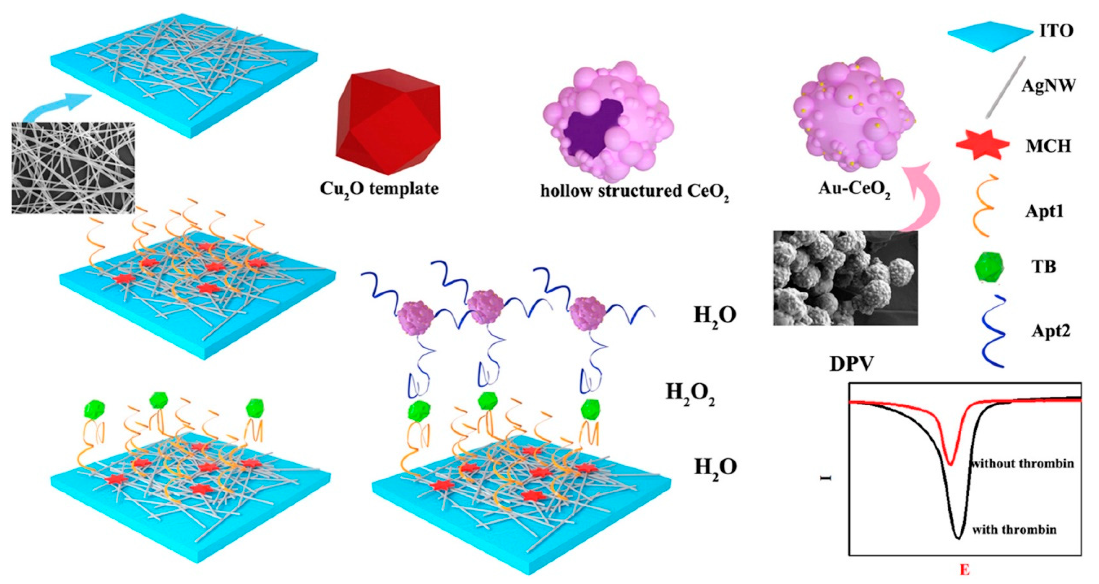 Applsci 11 07087 g003