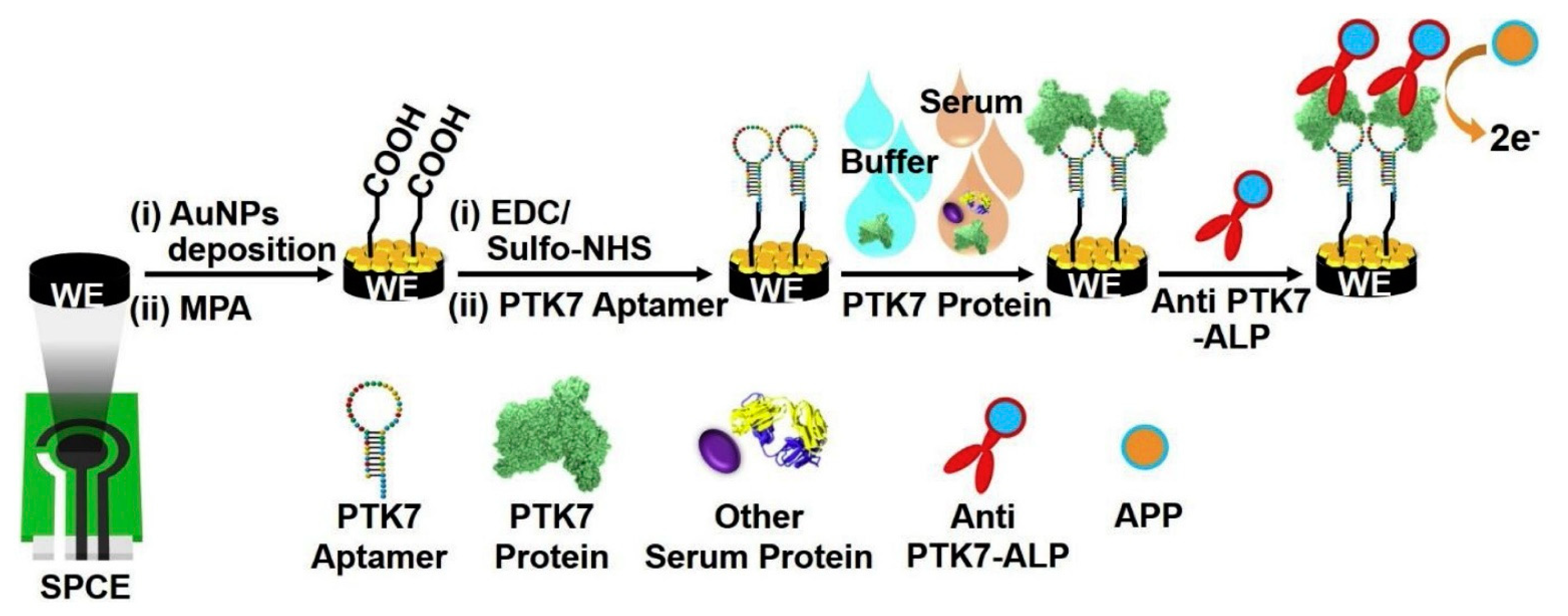 Applsci 11 07087 g007