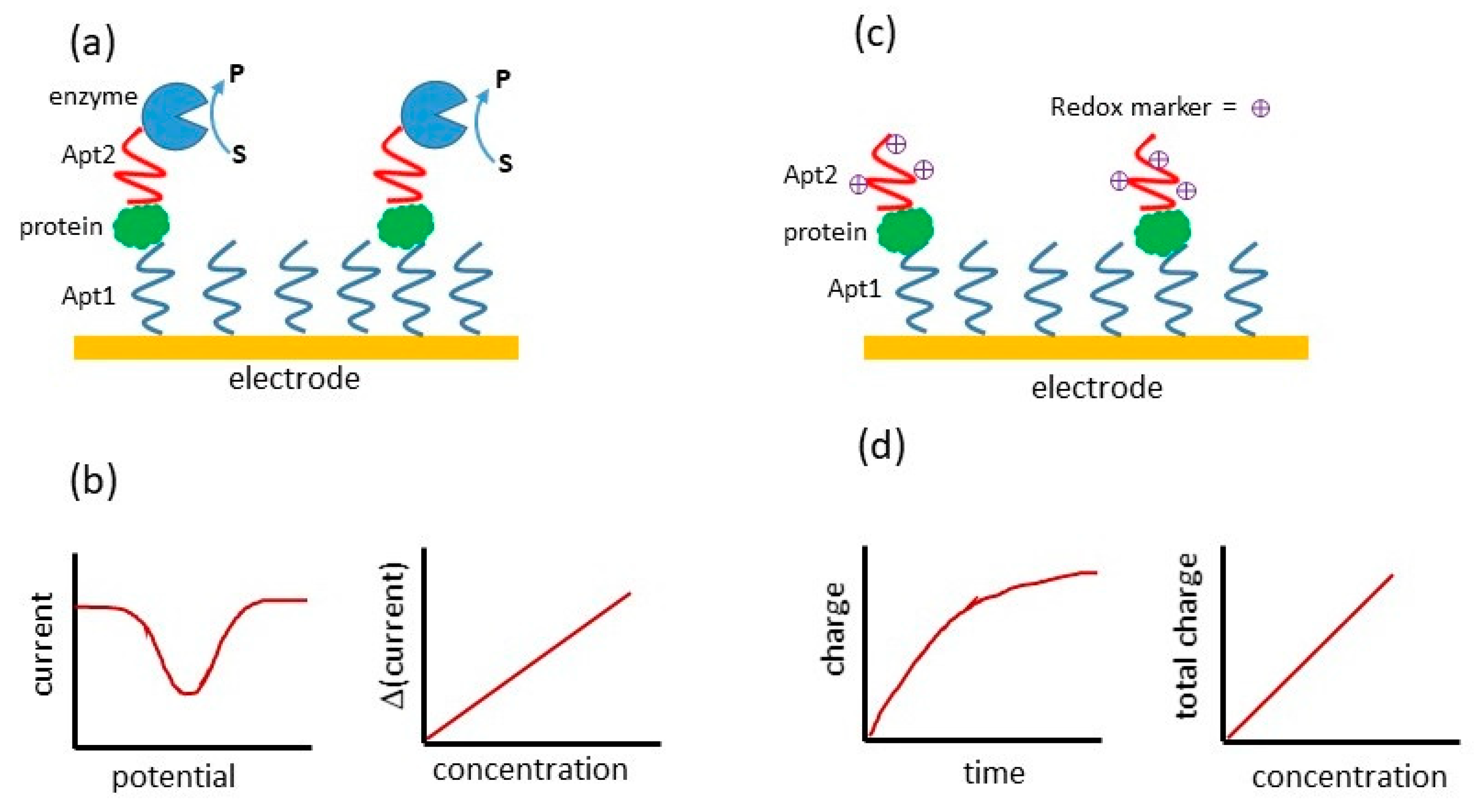 Applsci 11 07087 sch002