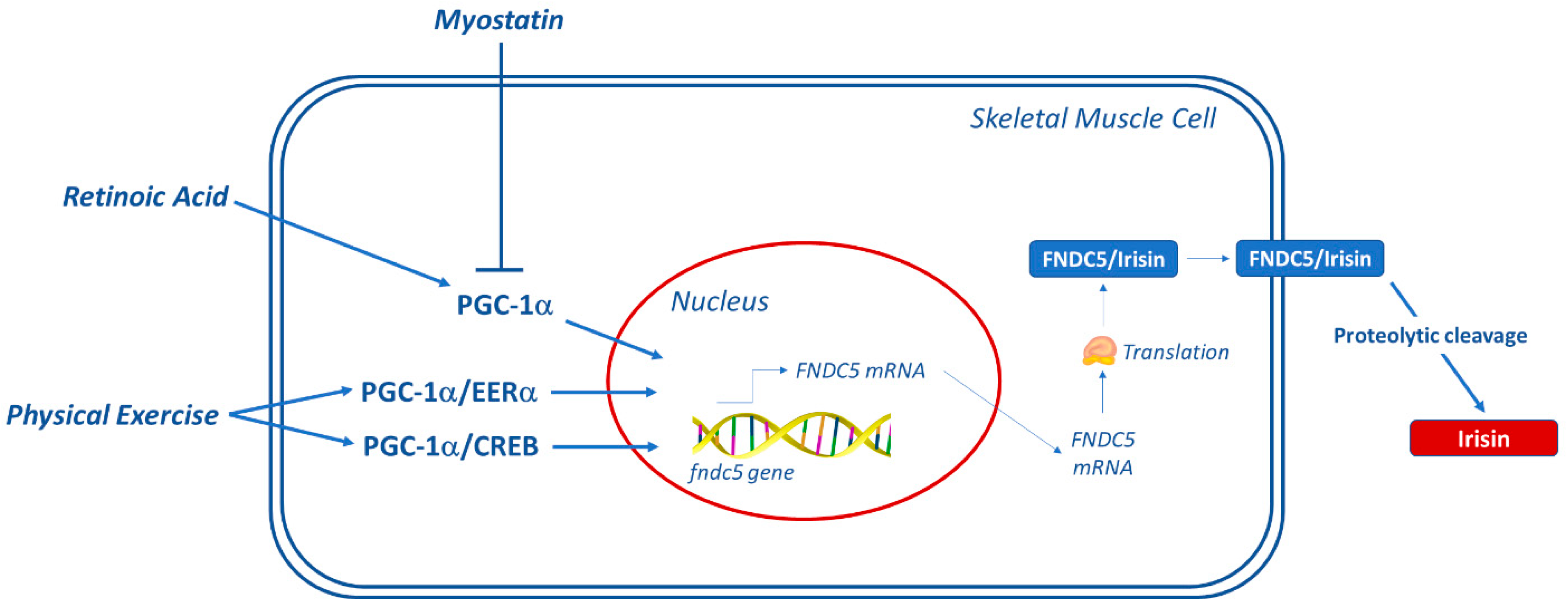 Applsci 11 07120 g002