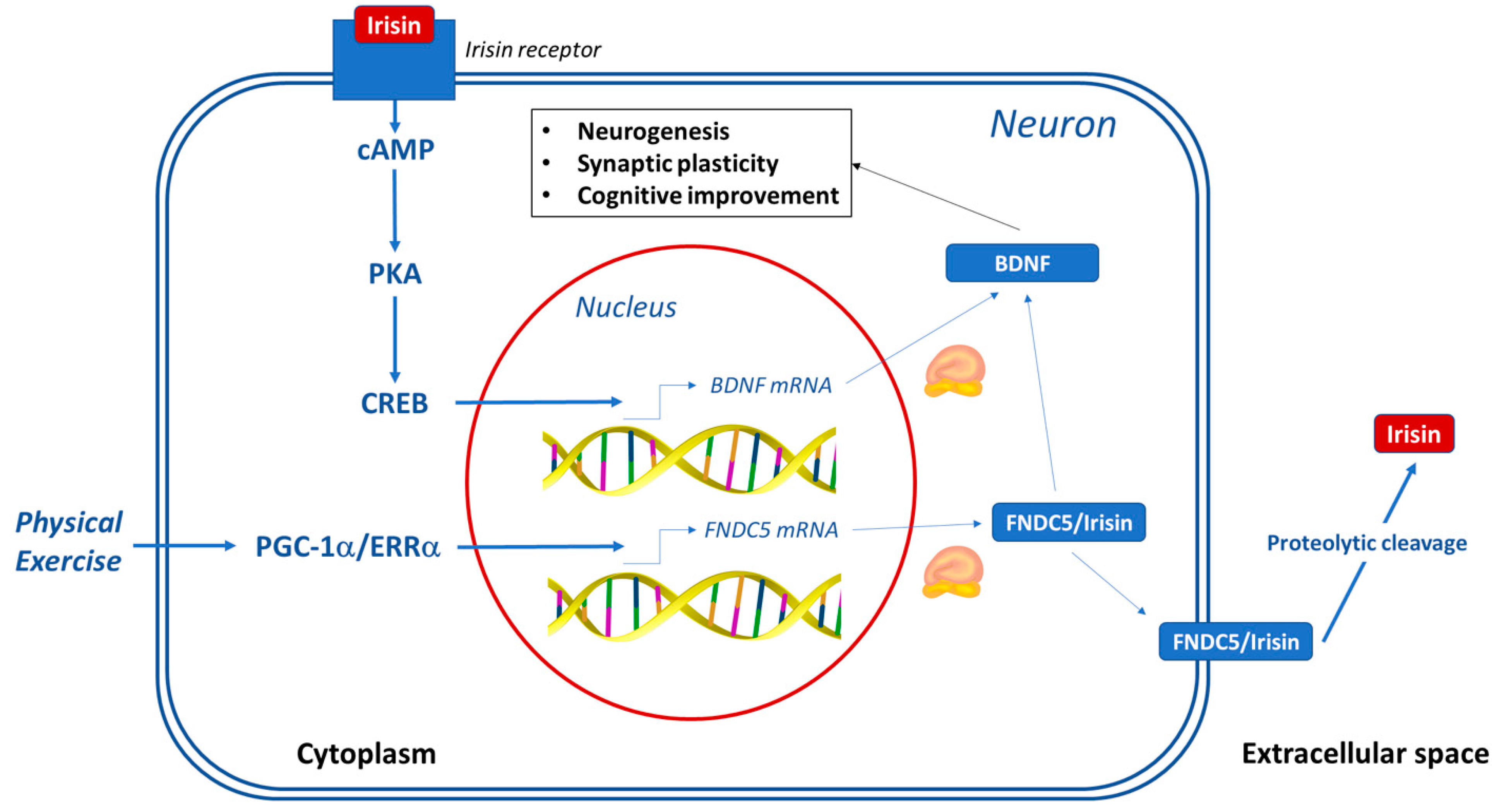 Applsci 11 07120 g003