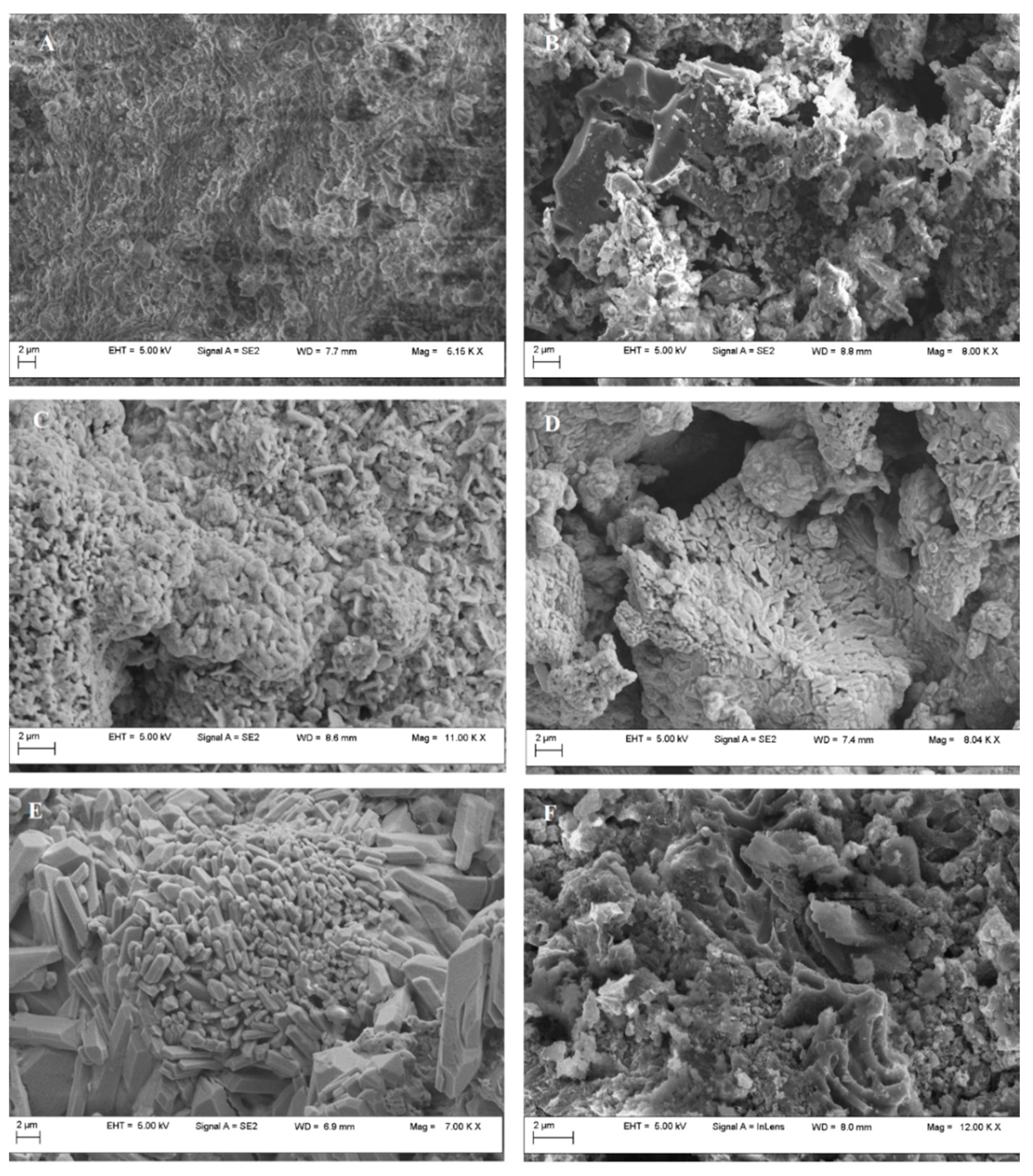 Applsci 11 07139 g003