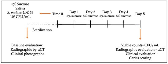 Mean scores for dental caries in the mandibu- lar molars of each group.