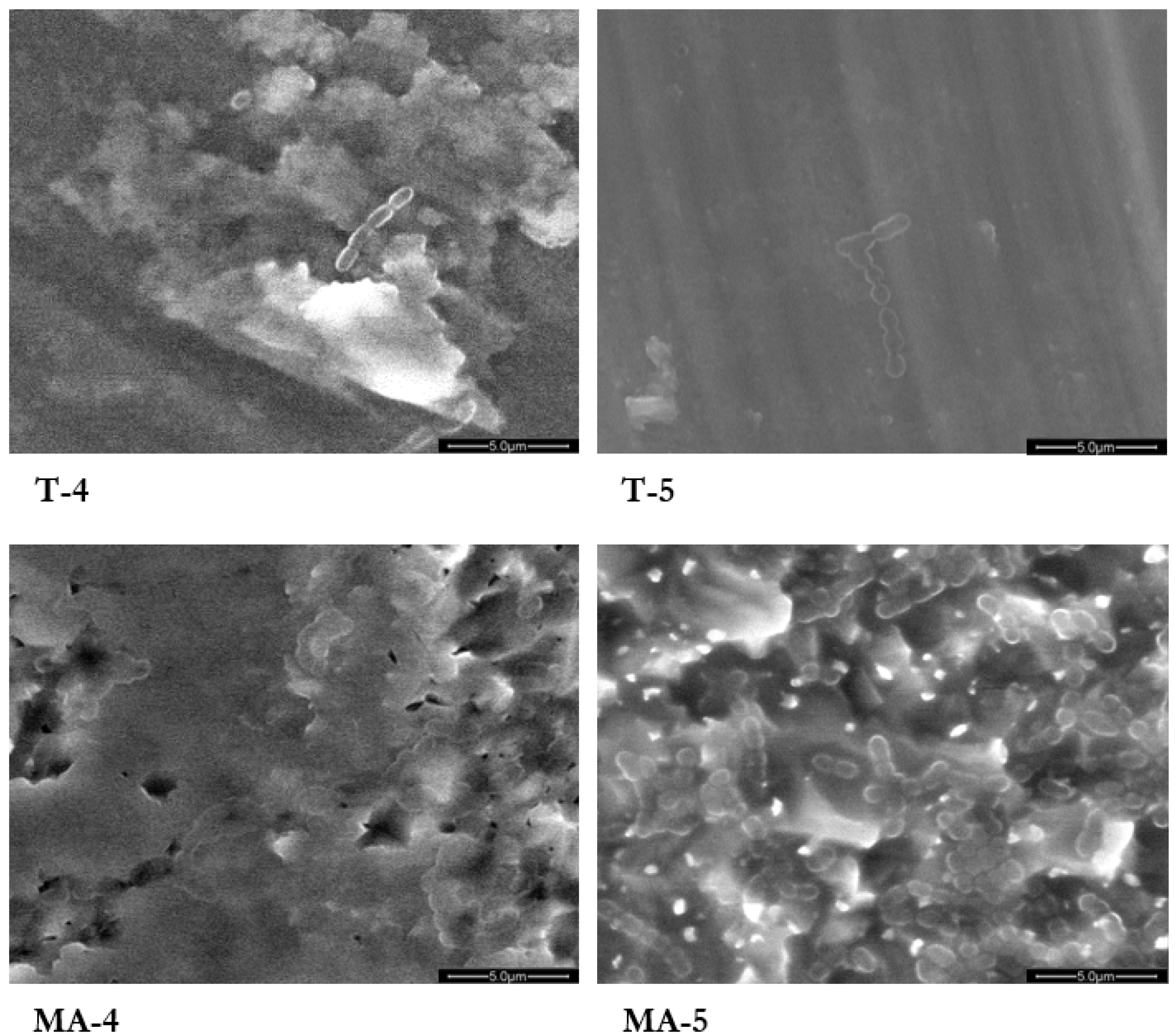 Applsci 11 07185 g003