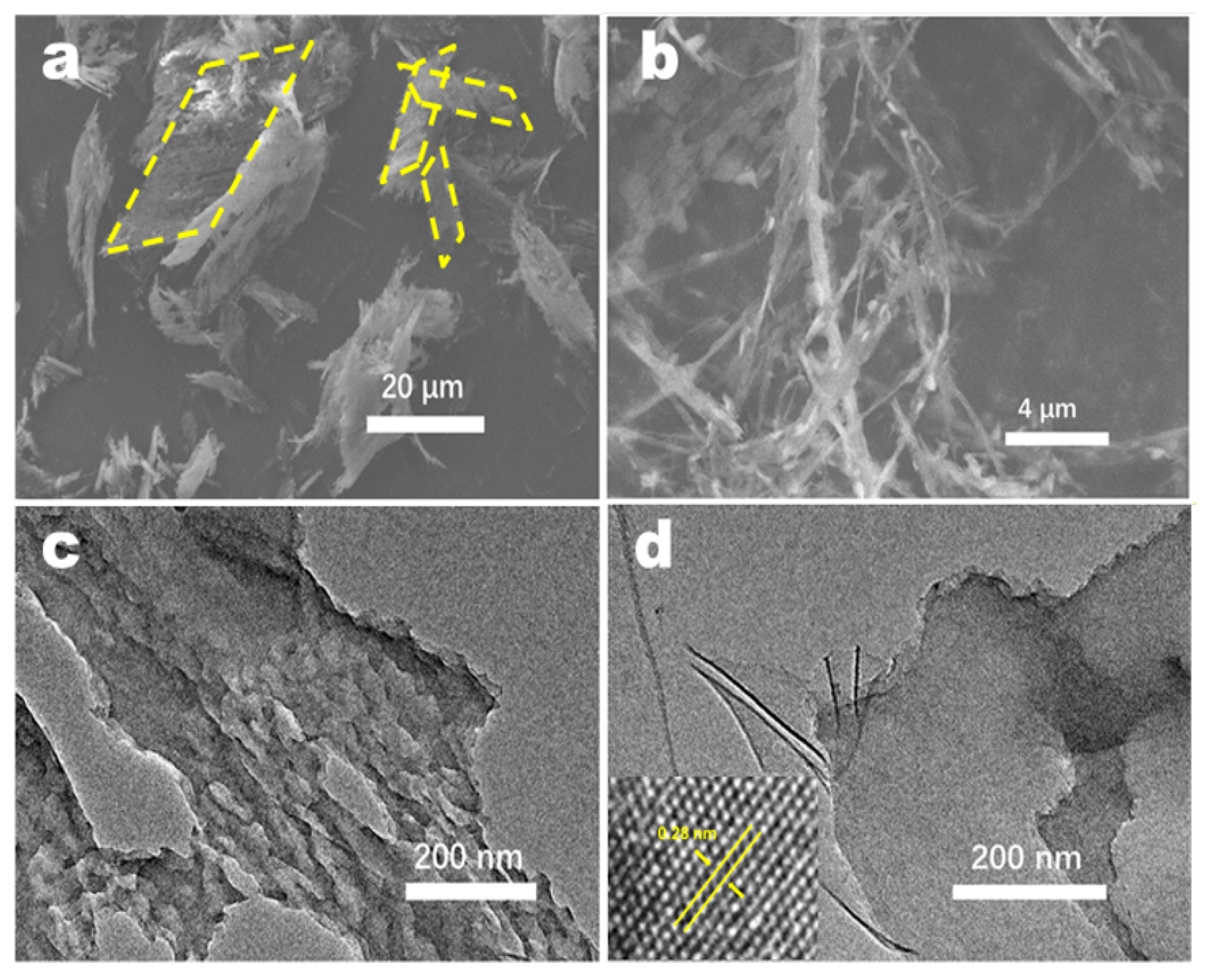 Applsci 11 07222 g004