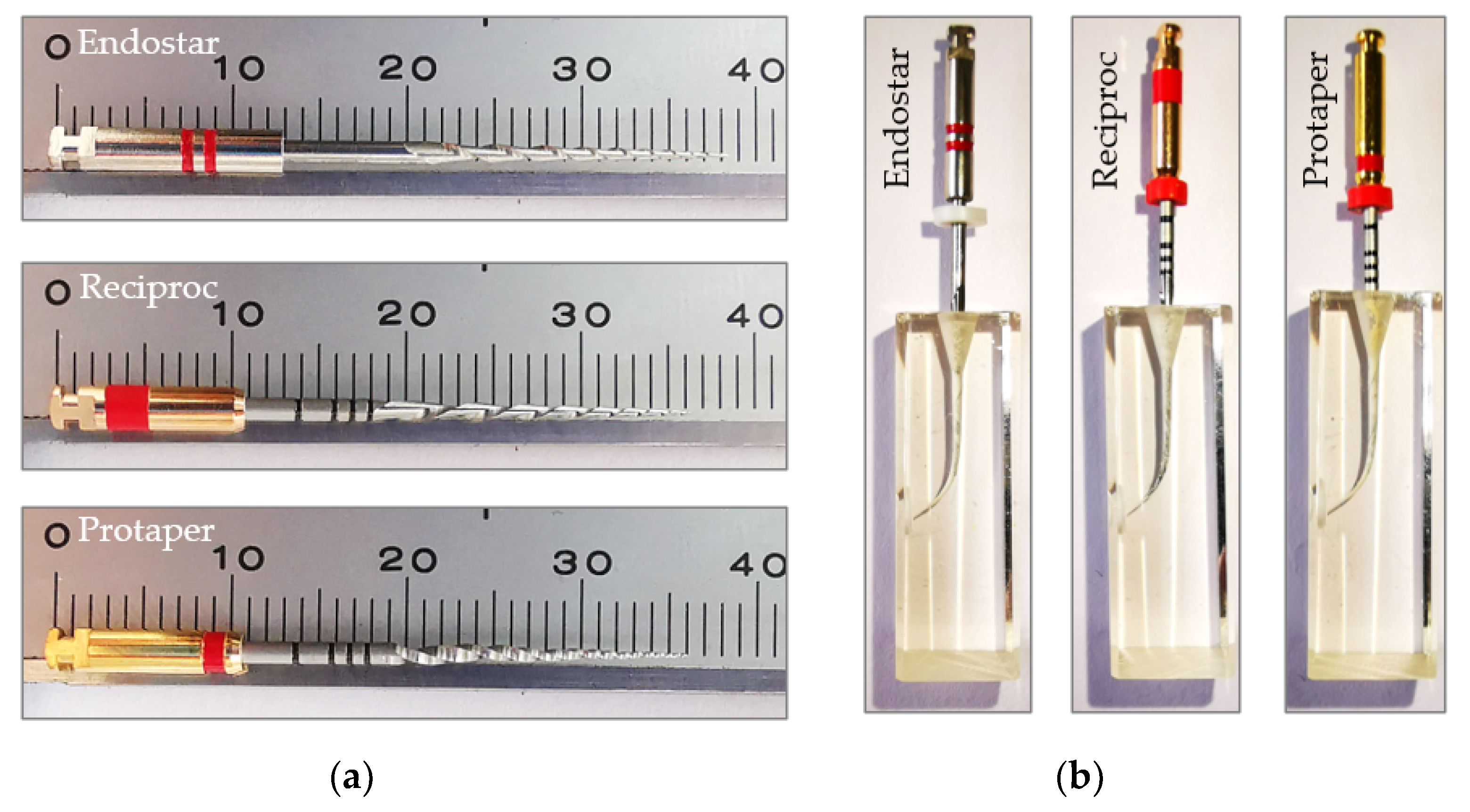 Applied Sciences | Free Full-Text | Experimental Study of the Effects of  Torsional Loading on Three Types of Nickel-Titanium Endodontic Instruments