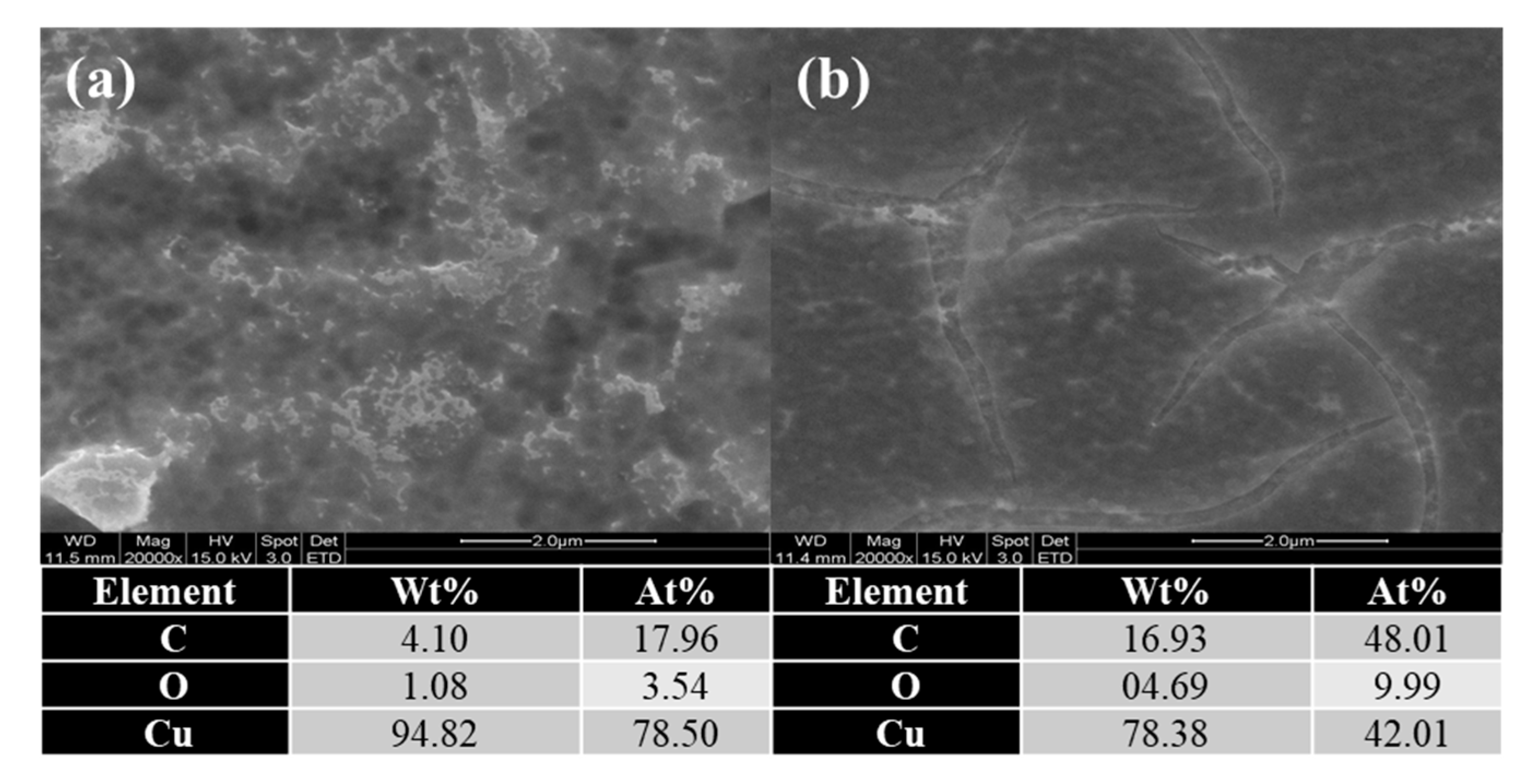 Applsci 11 07232 g005