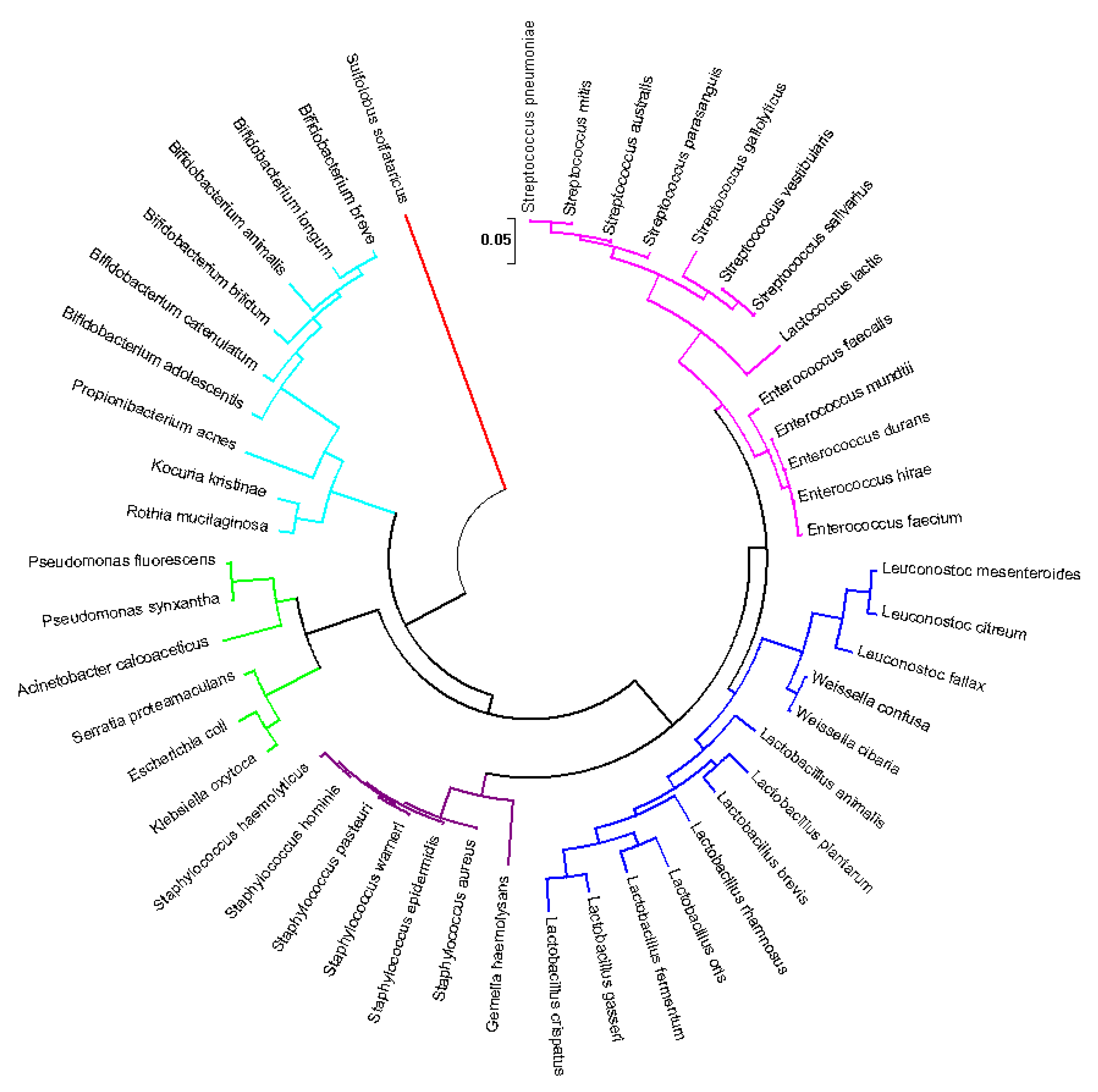 Applsci 11 07247 g002