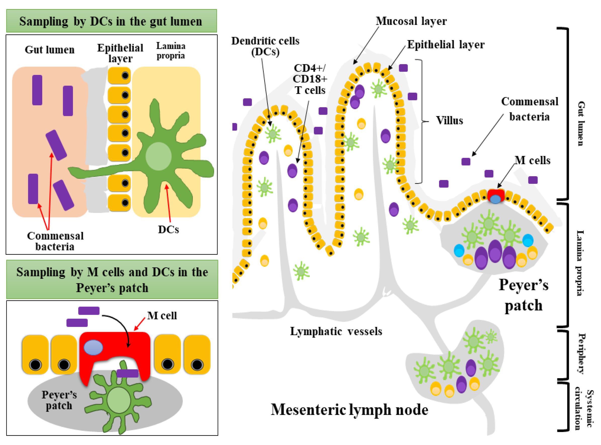 Applsci 11 07247 g003