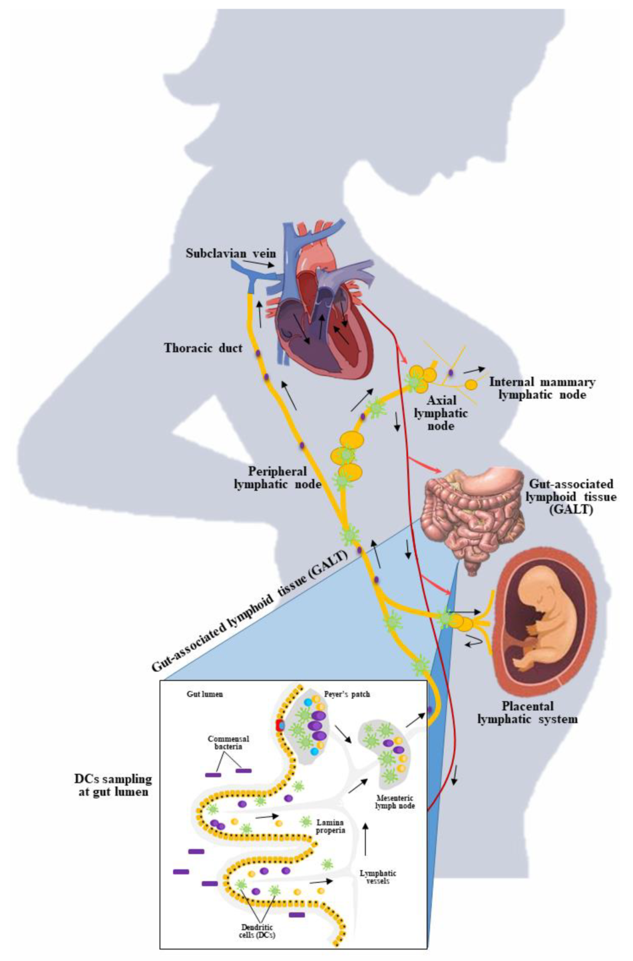 Applsci 11 07247 g004