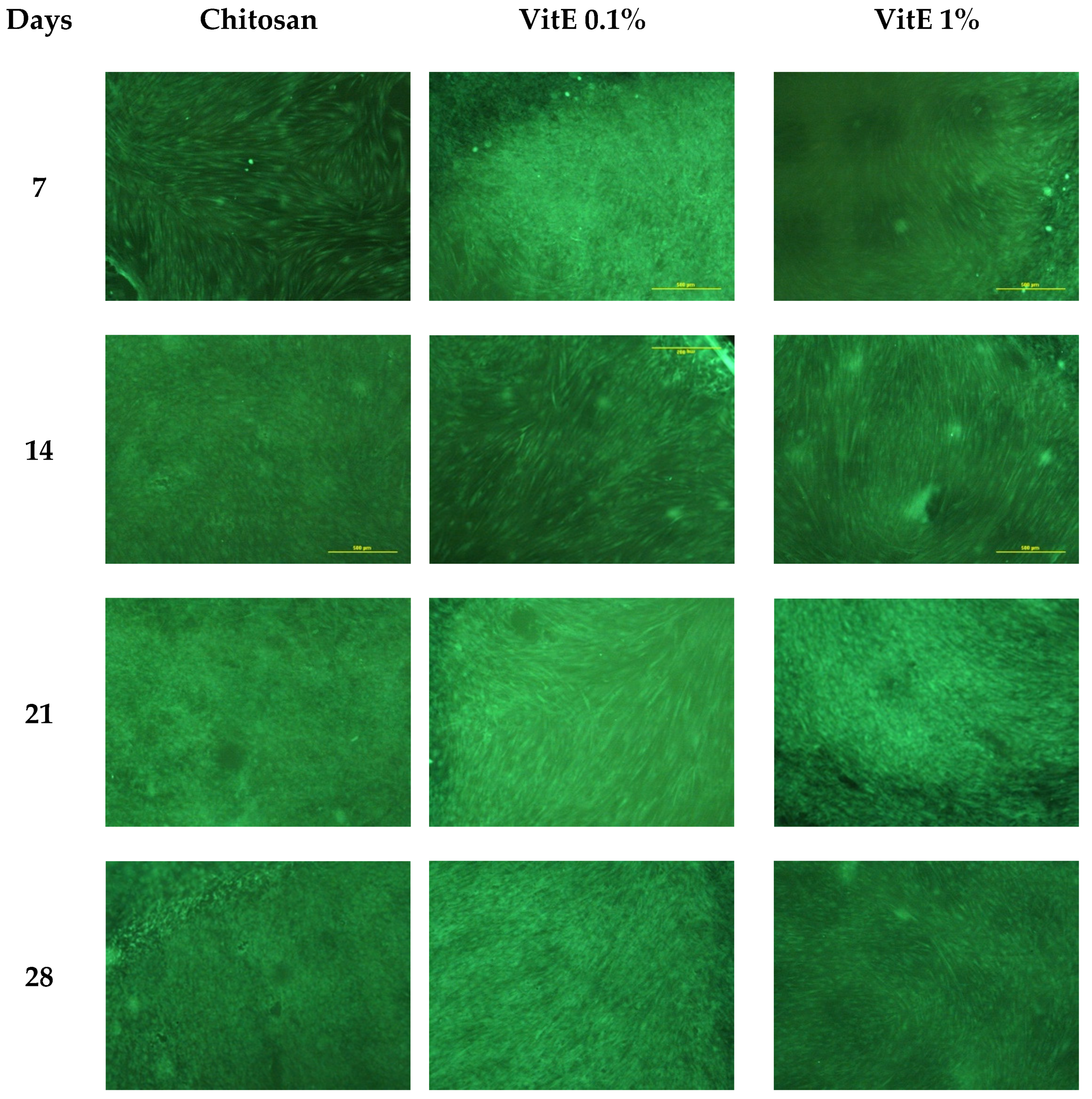 Applsci 11 07253 g007 Applsci 11 07253 g007