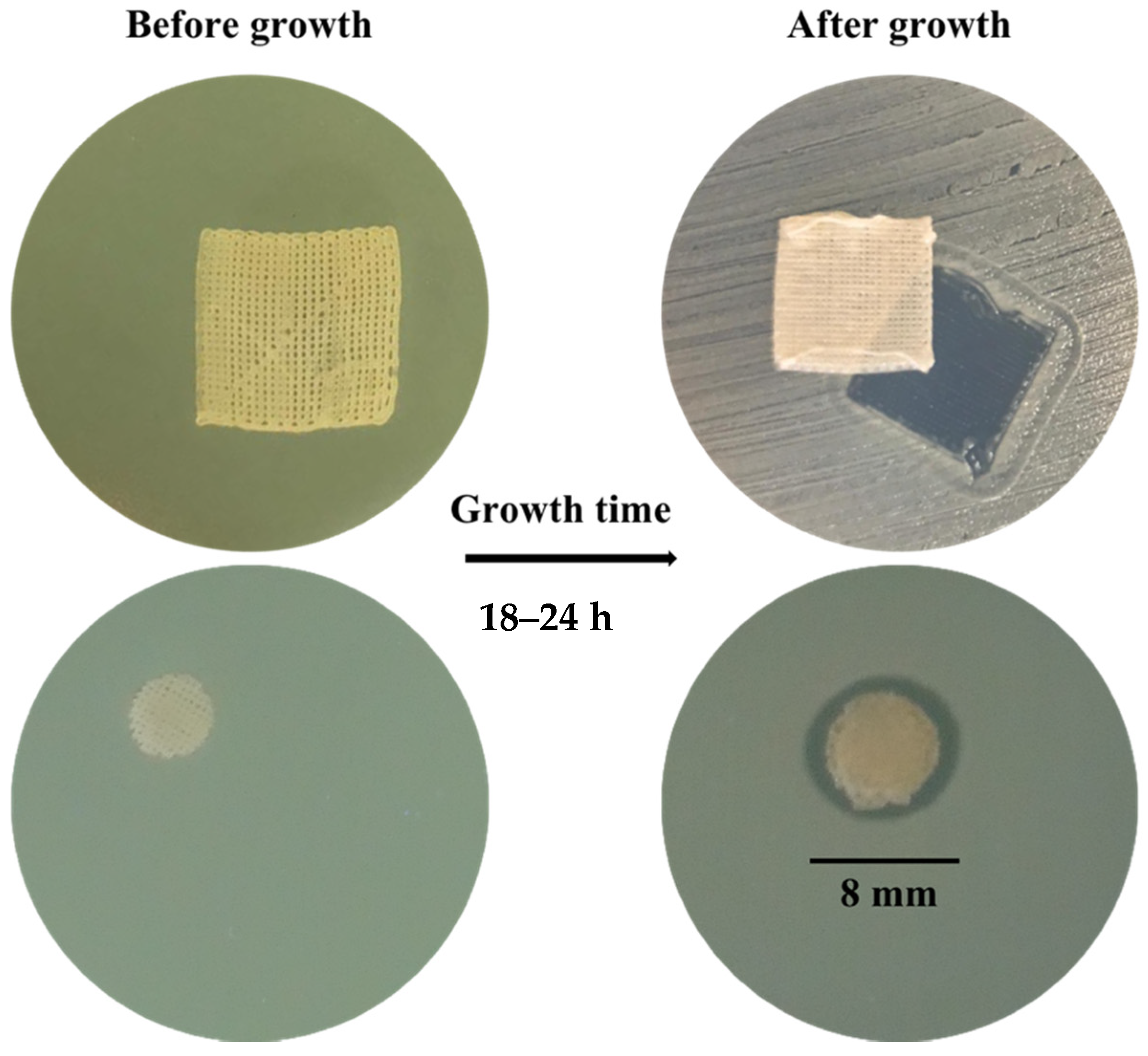 Applsci 11 07253 g008 Applsci 11 07253 g008