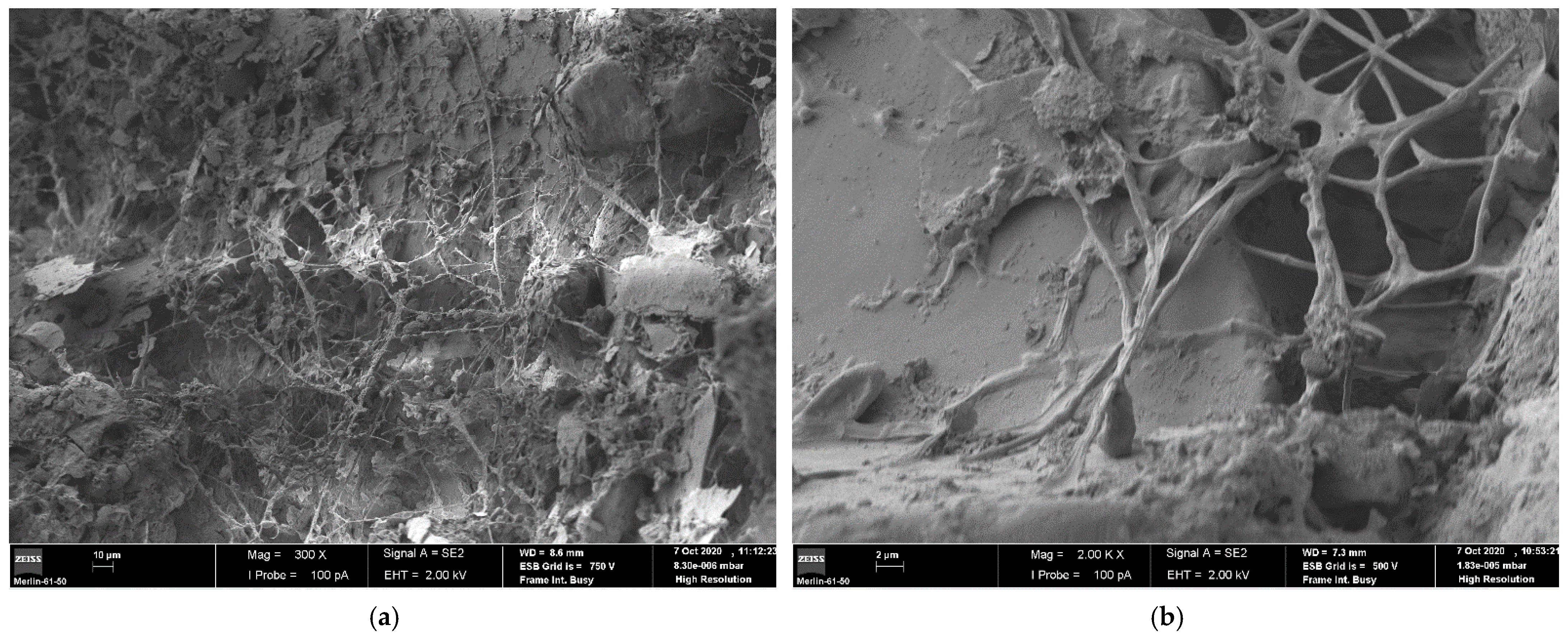 Applsci 11 07278 g007