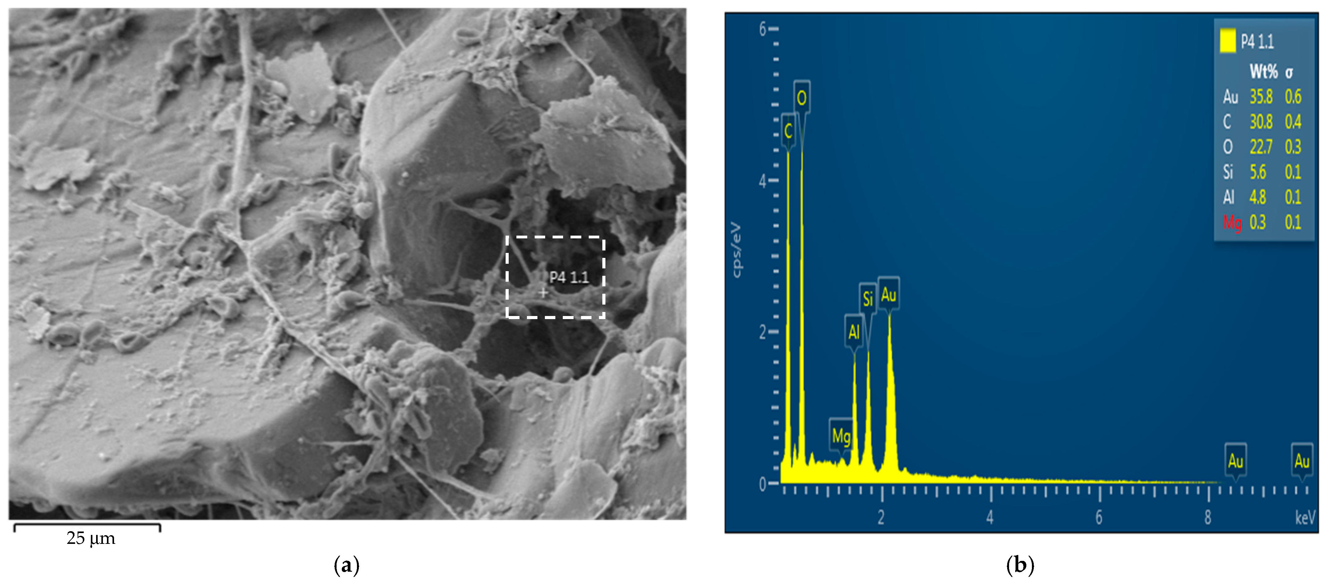 Applsci 11 07278 g009