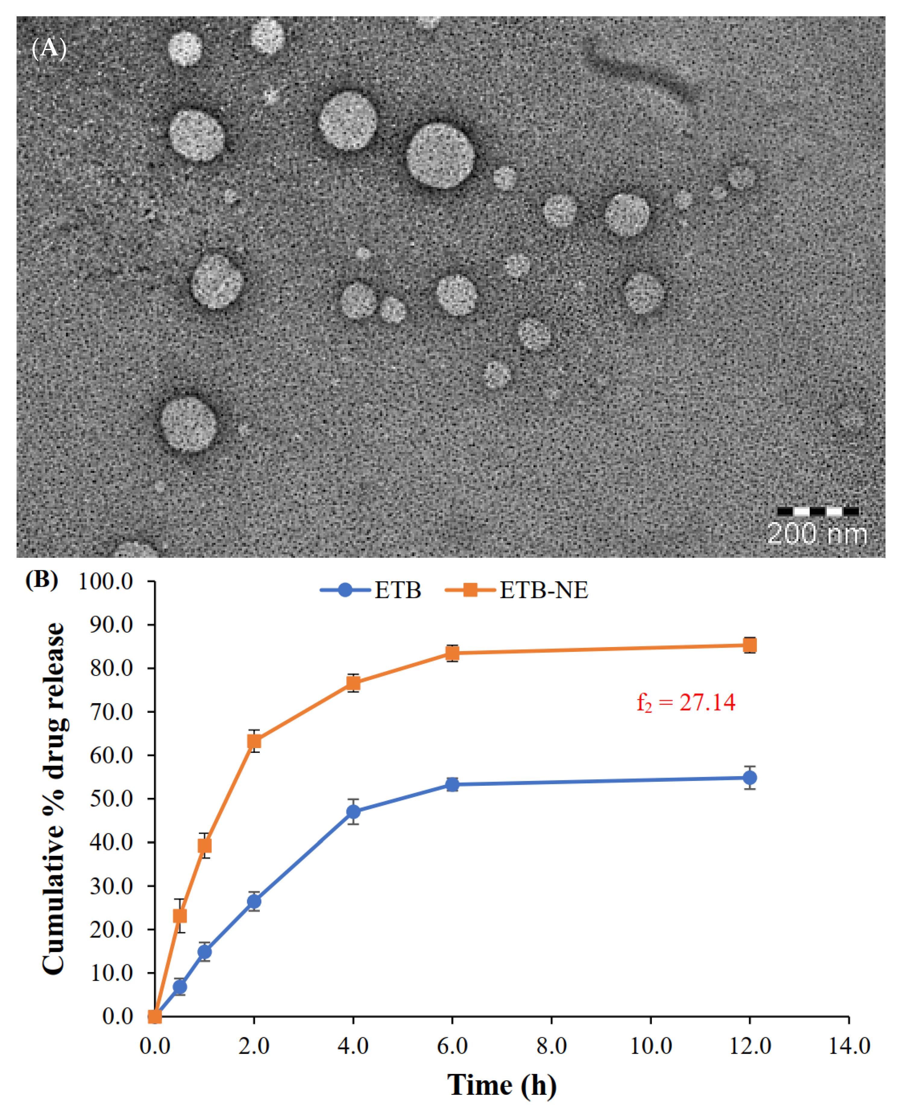 Applsci 11 07294 g004