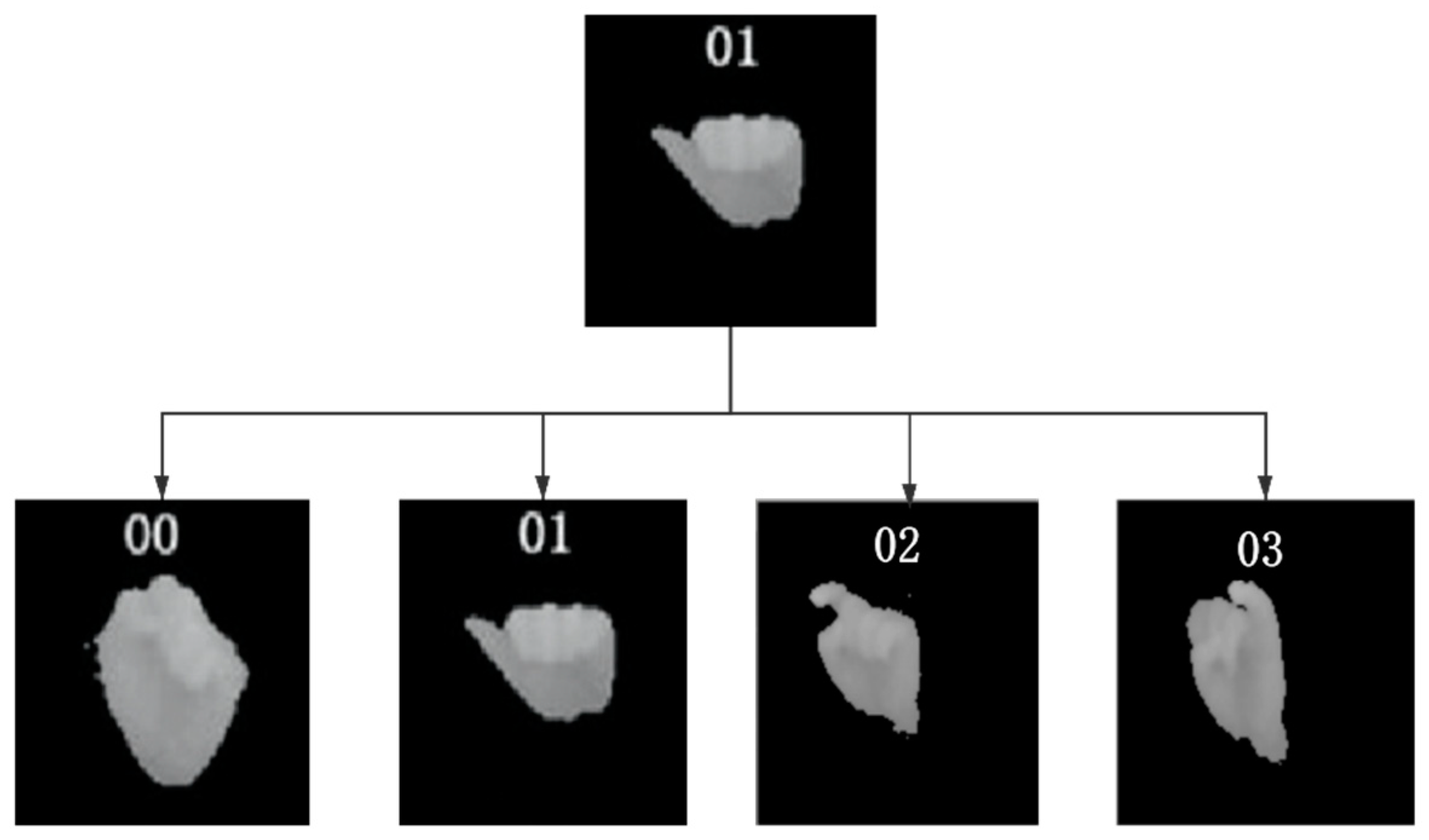 Applsci 11 07316 g008