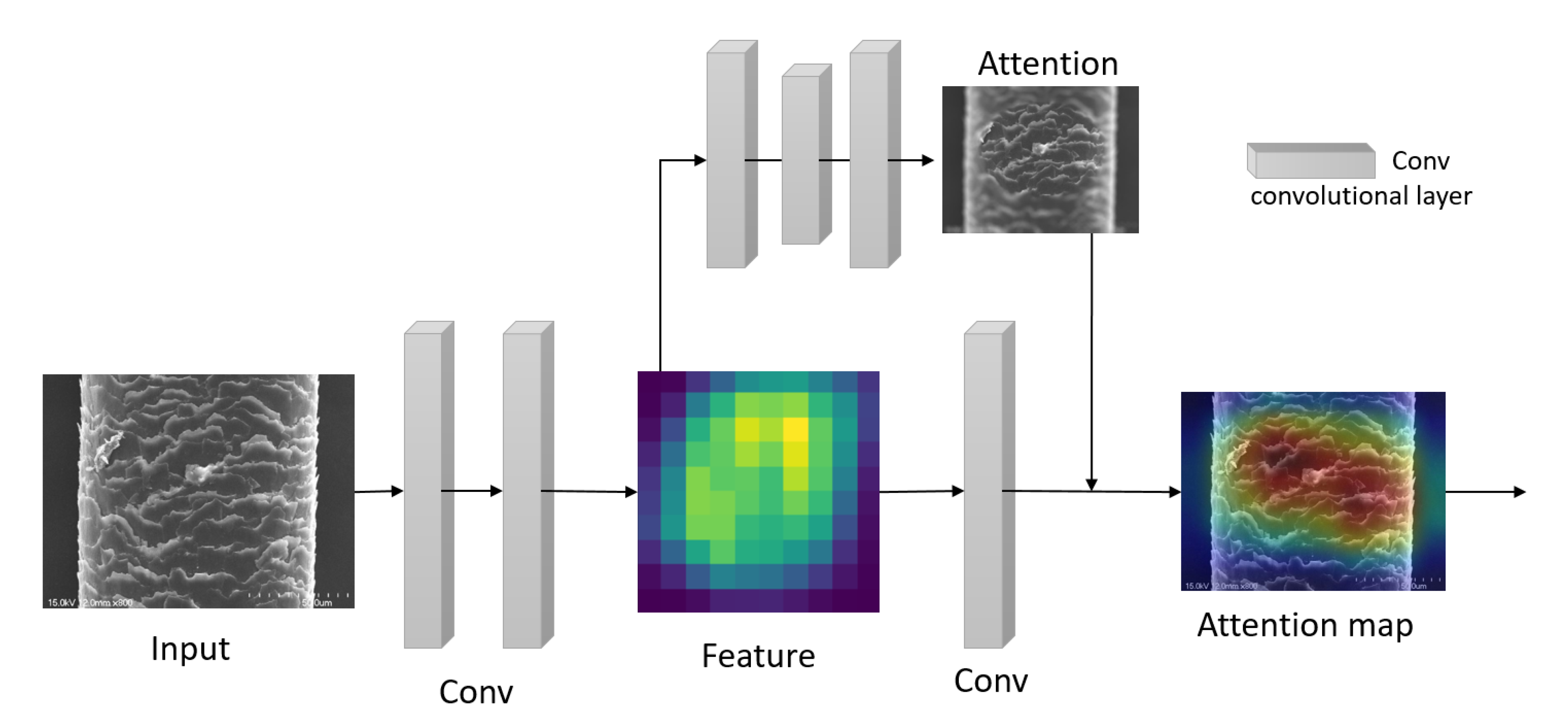 Applsci 11 07333 g004