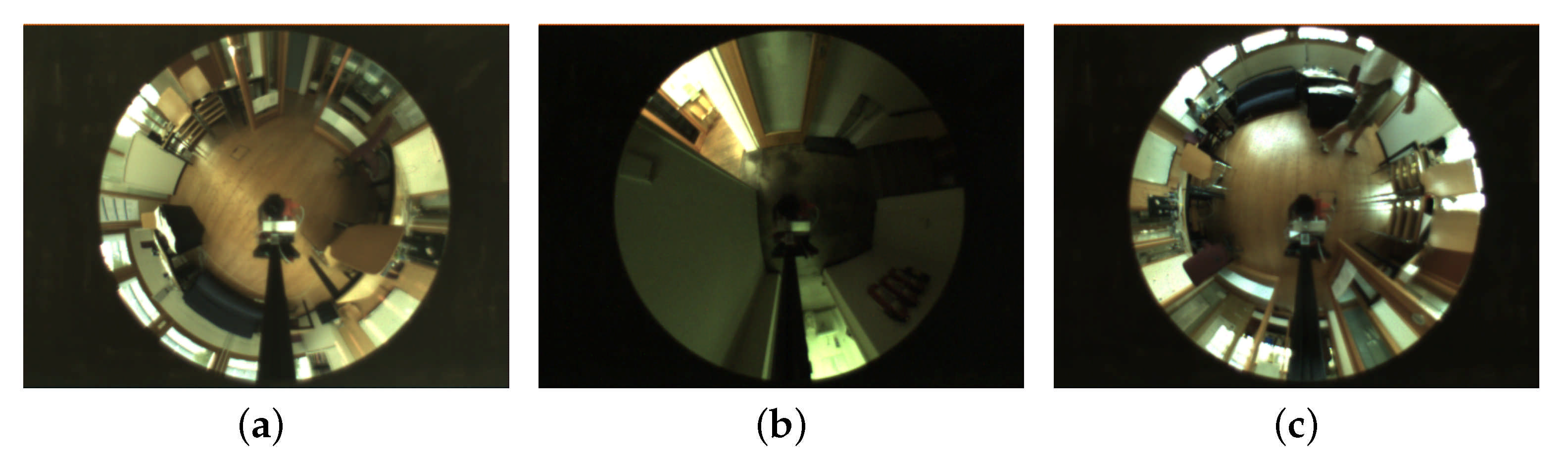 Applsci 11 07521 g001 Applsci 11 07521 g001