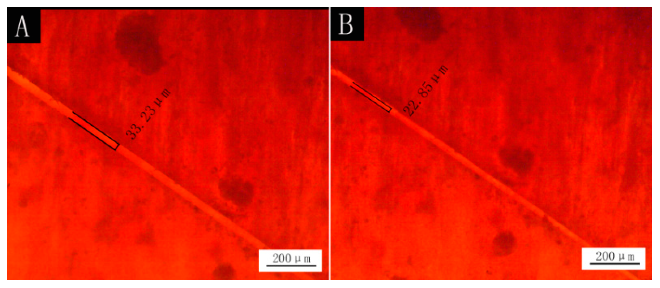 Applsci 11 07586 g005