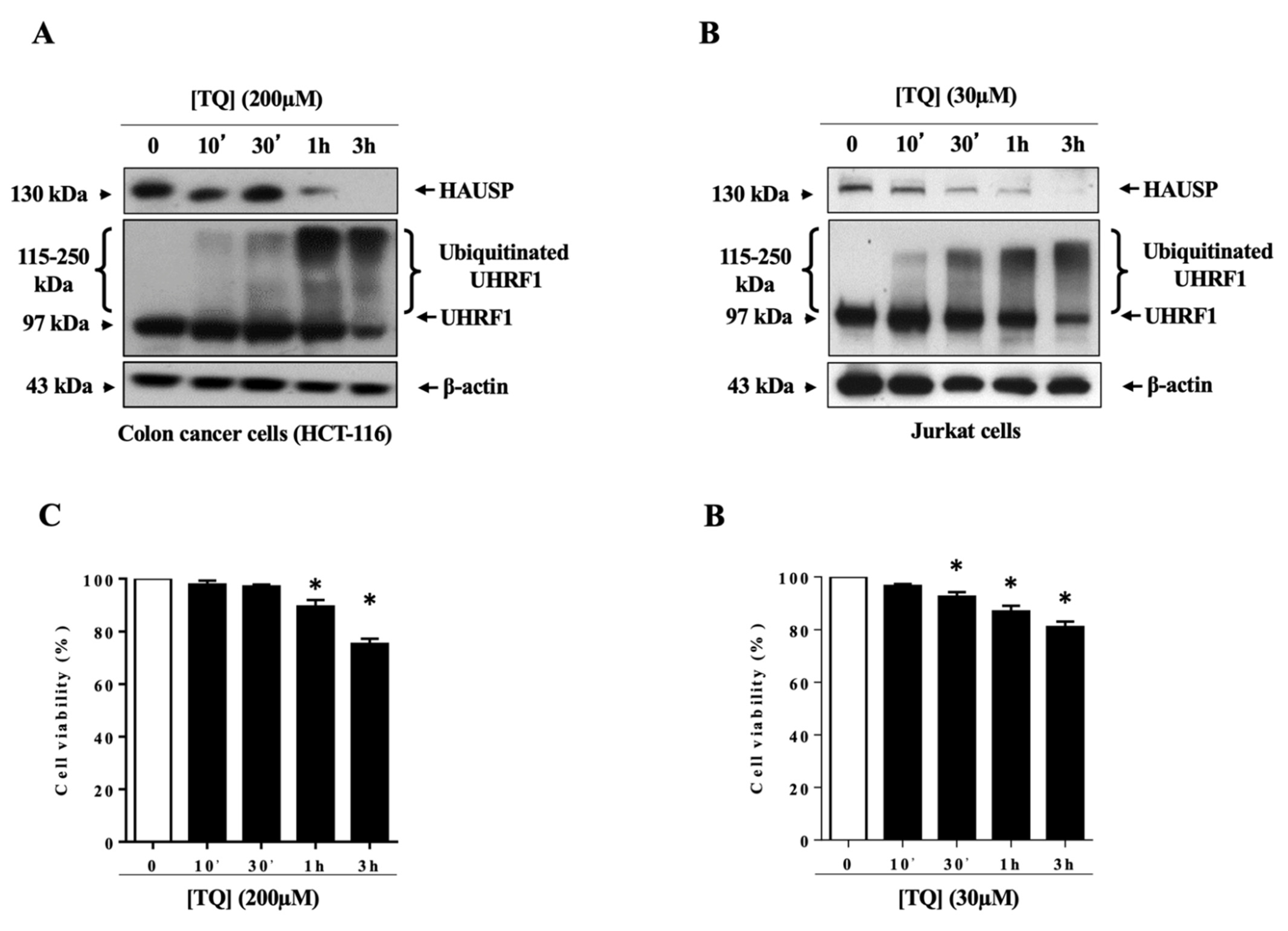 Applsci 11 07633 g002