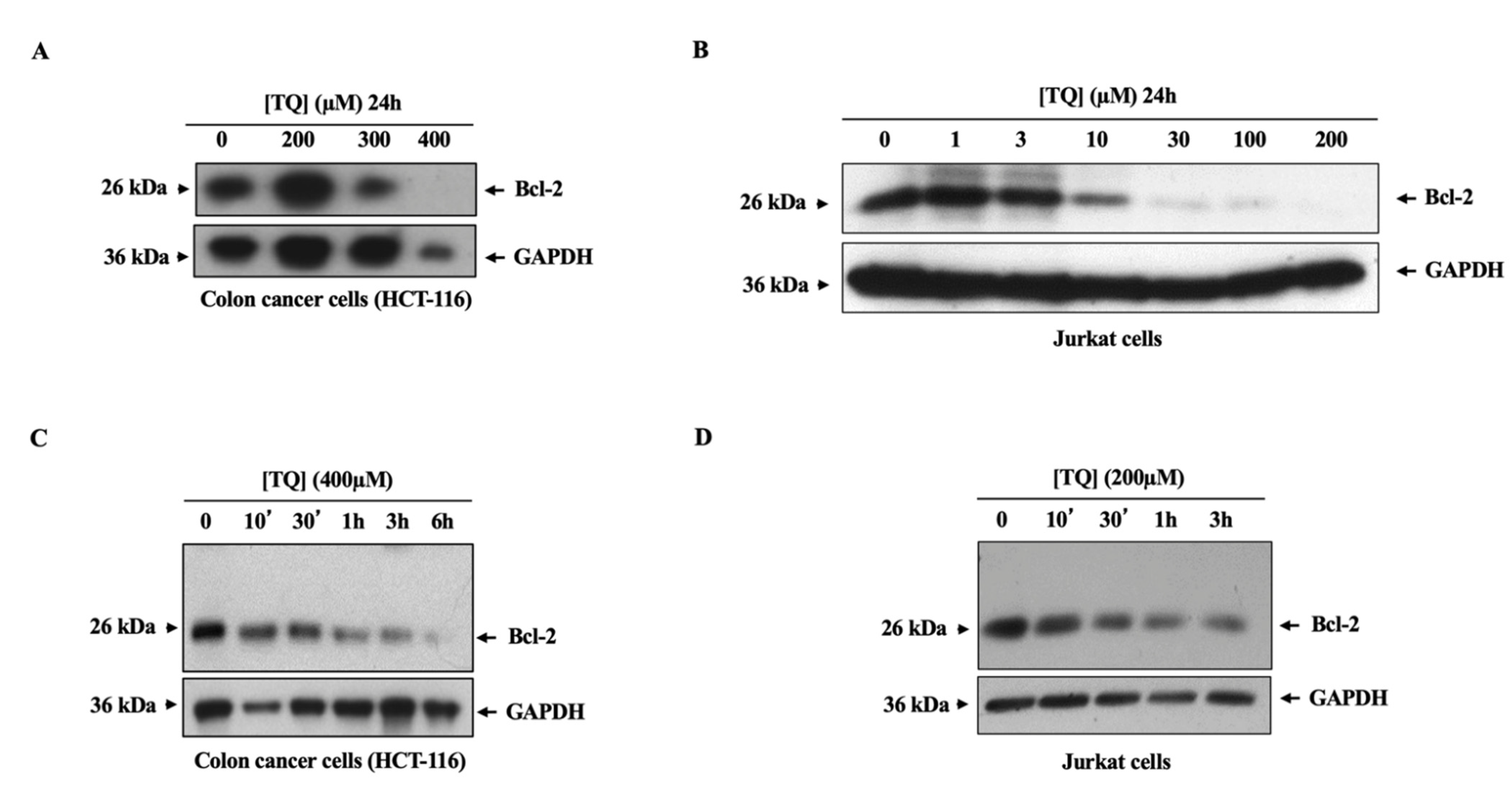 Applsci 11 07633 g005