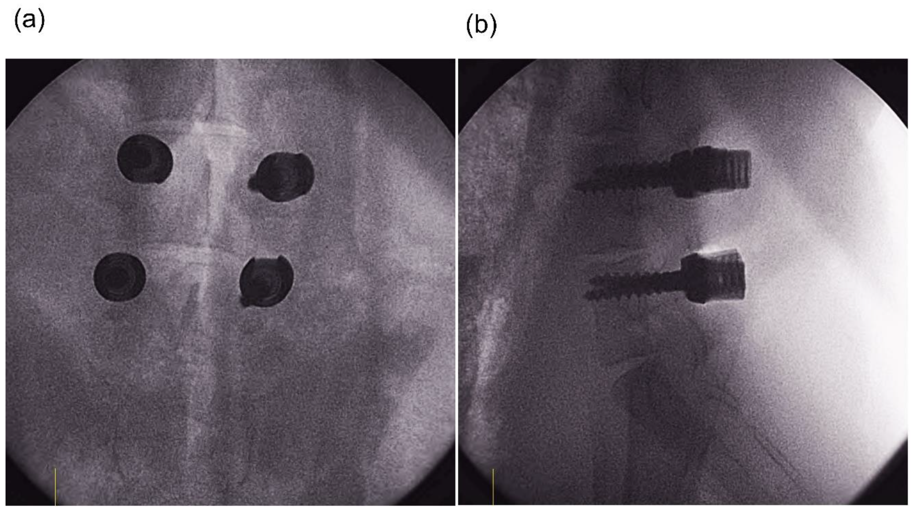 Applsci 11 07801 g004