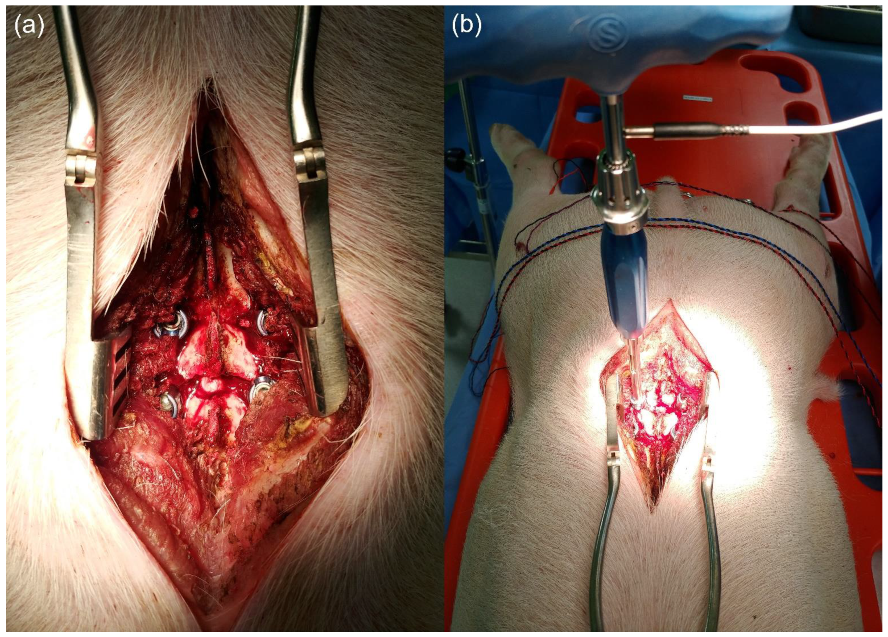 Applsci 11 07801 g005