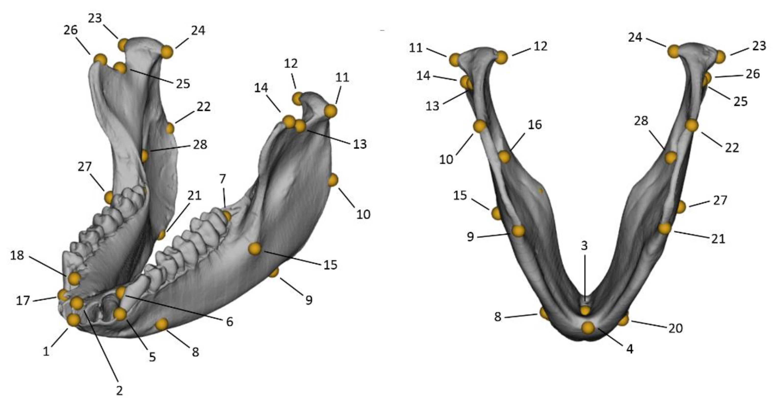 Applsci 11 07879 g001