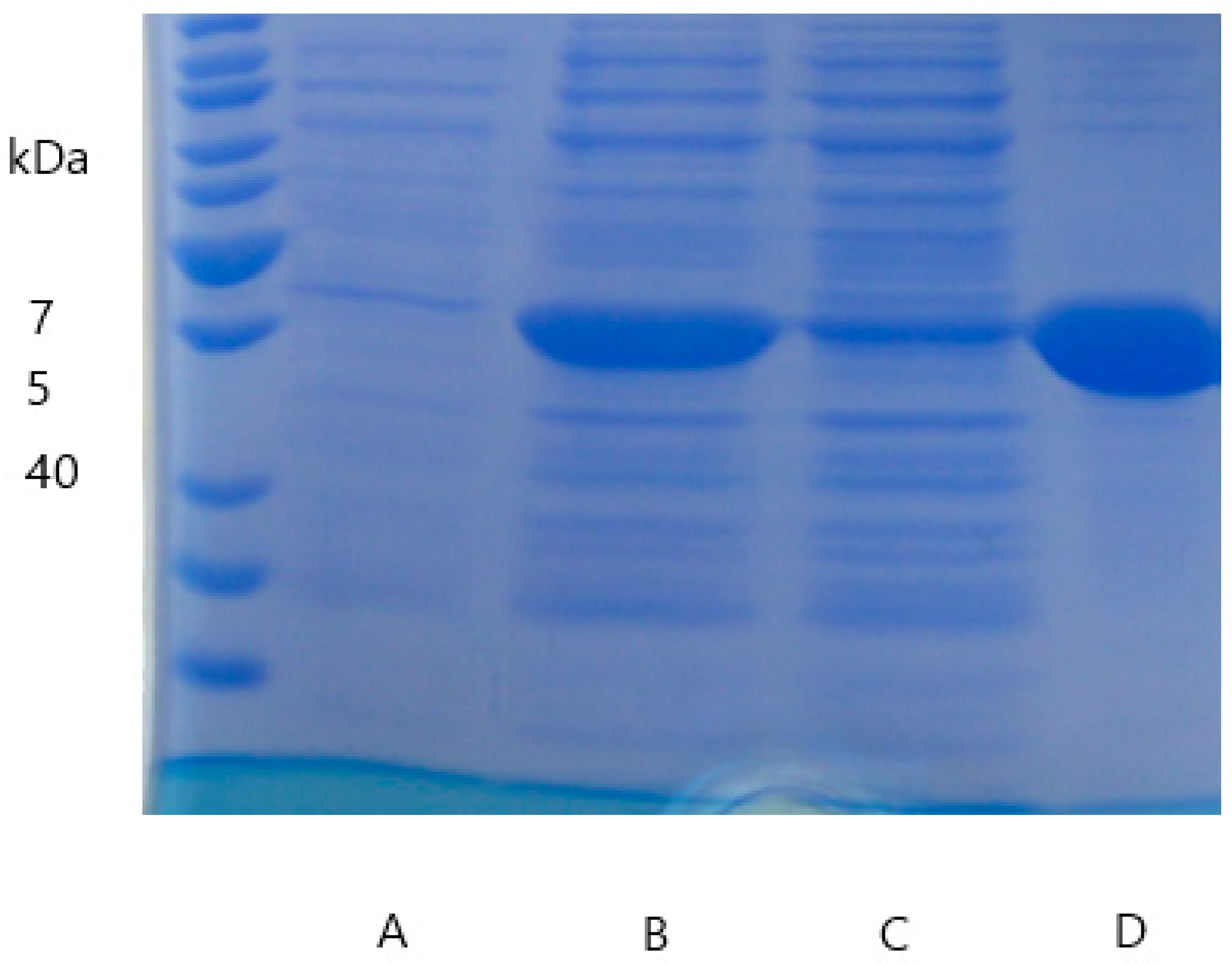 Applsci 11 07941 g0a3