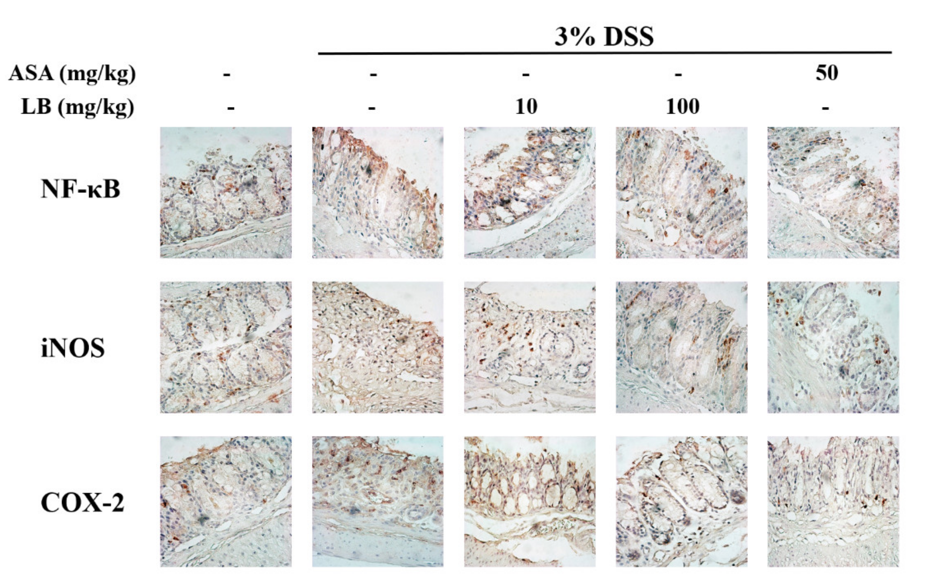 Applsci 11 07955 g004