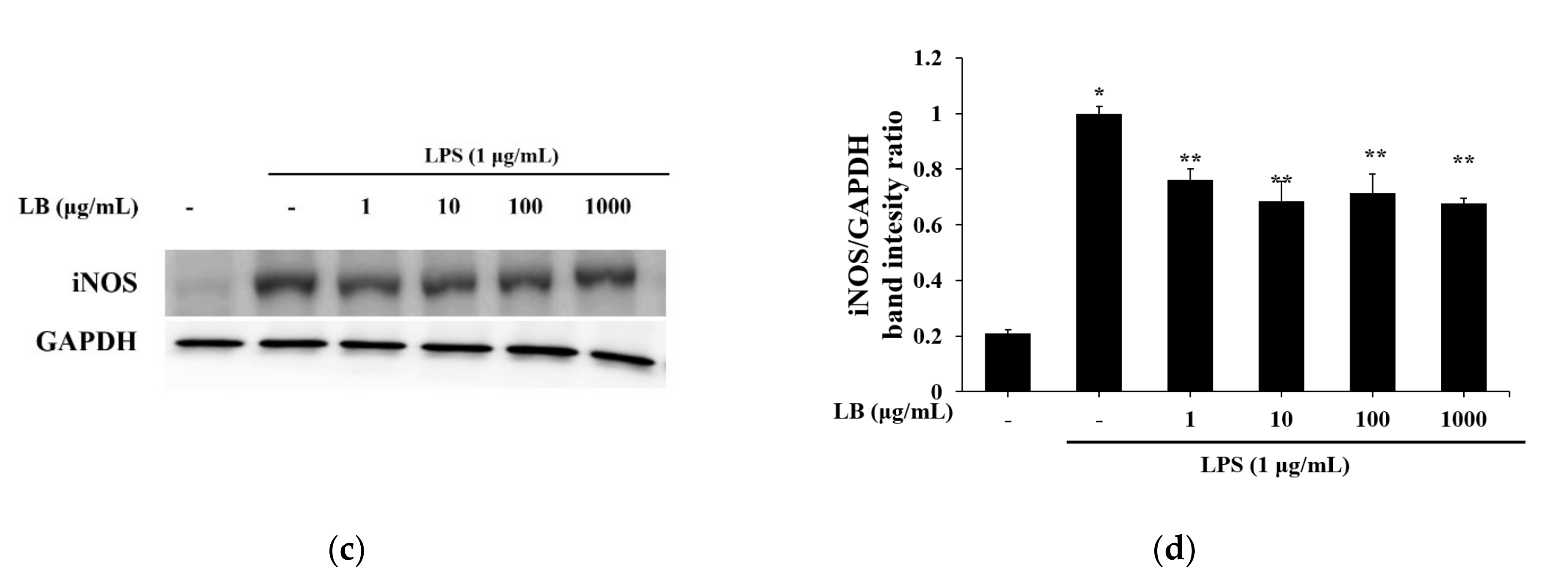 Applsci 11 07955 g006b