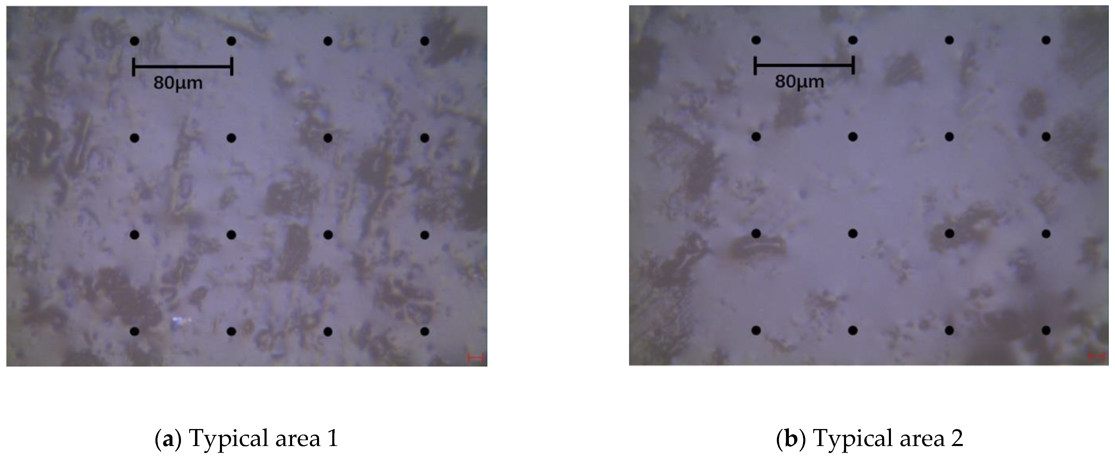 Applsci 11 07992 g005