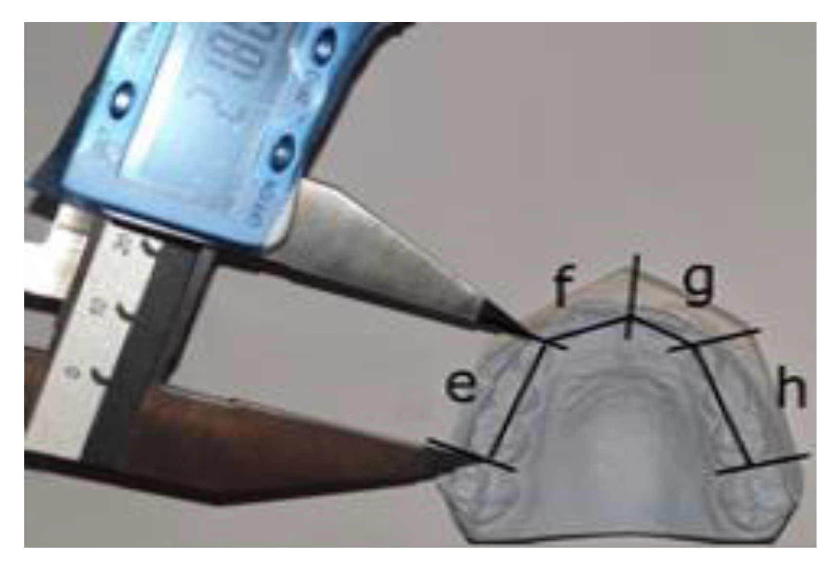 Applsci 11 08004 g001 Applsci 11 08004 g001