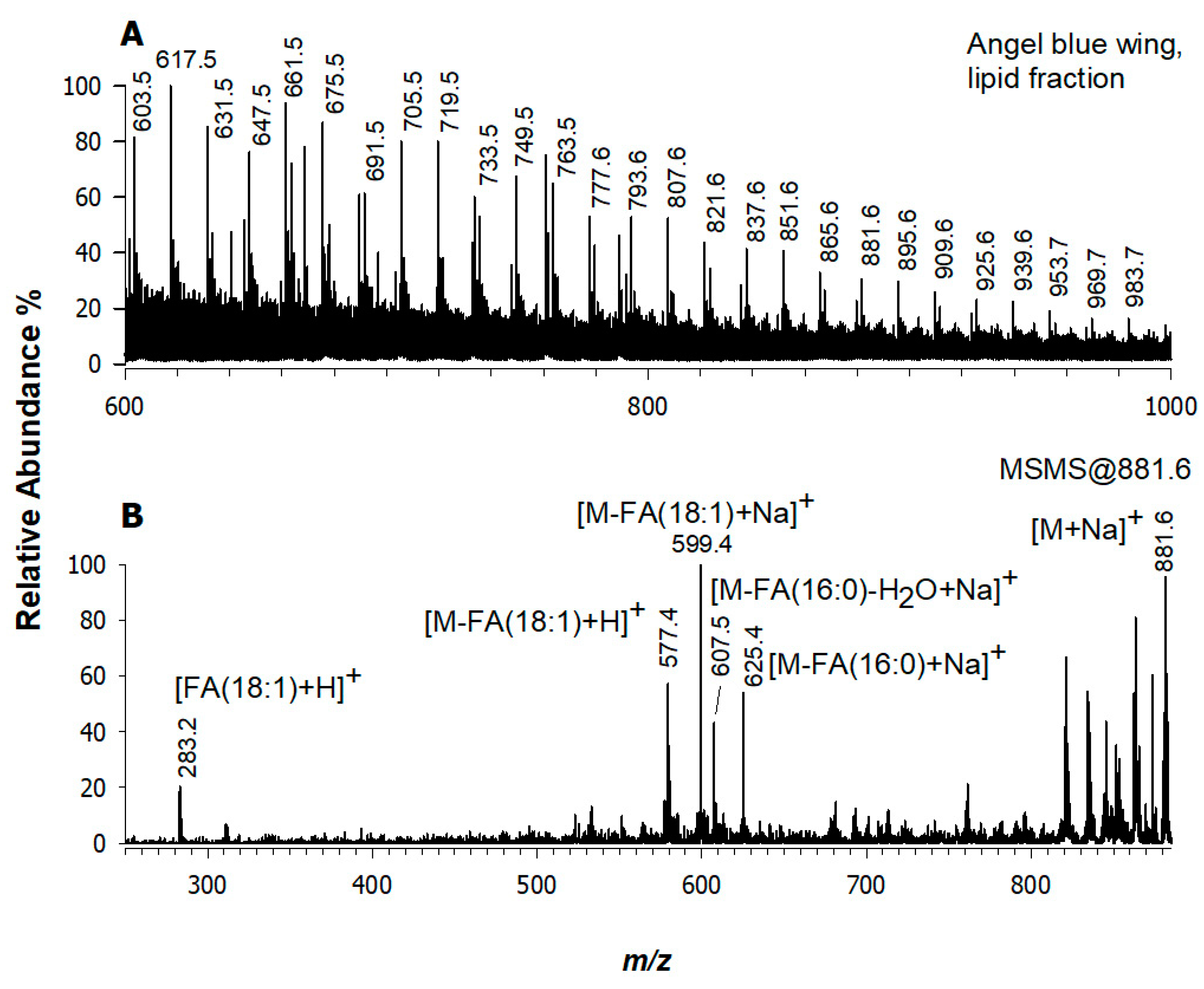 Applsci 11 08017 g004