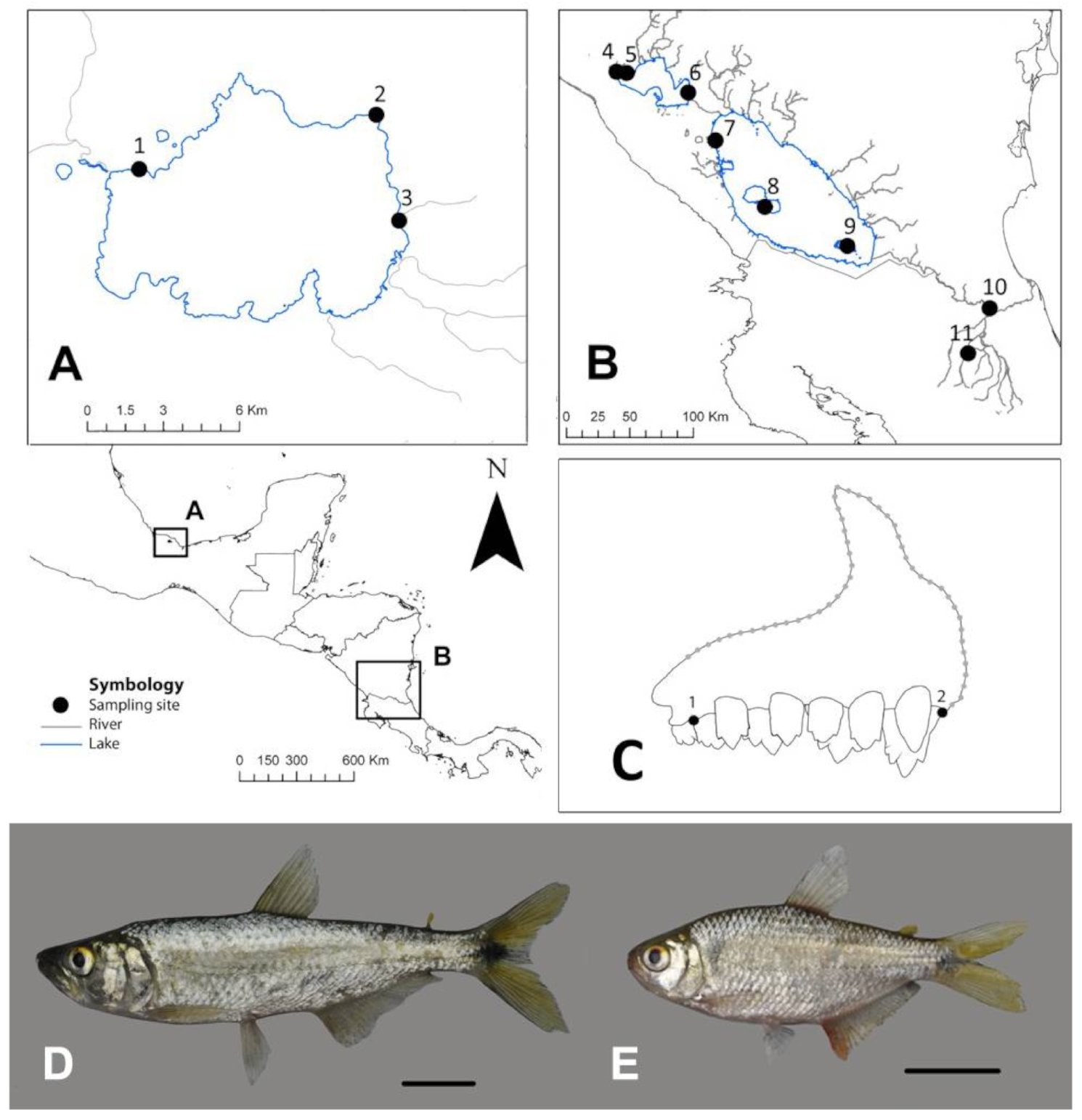 Applsci 11 08020 g001