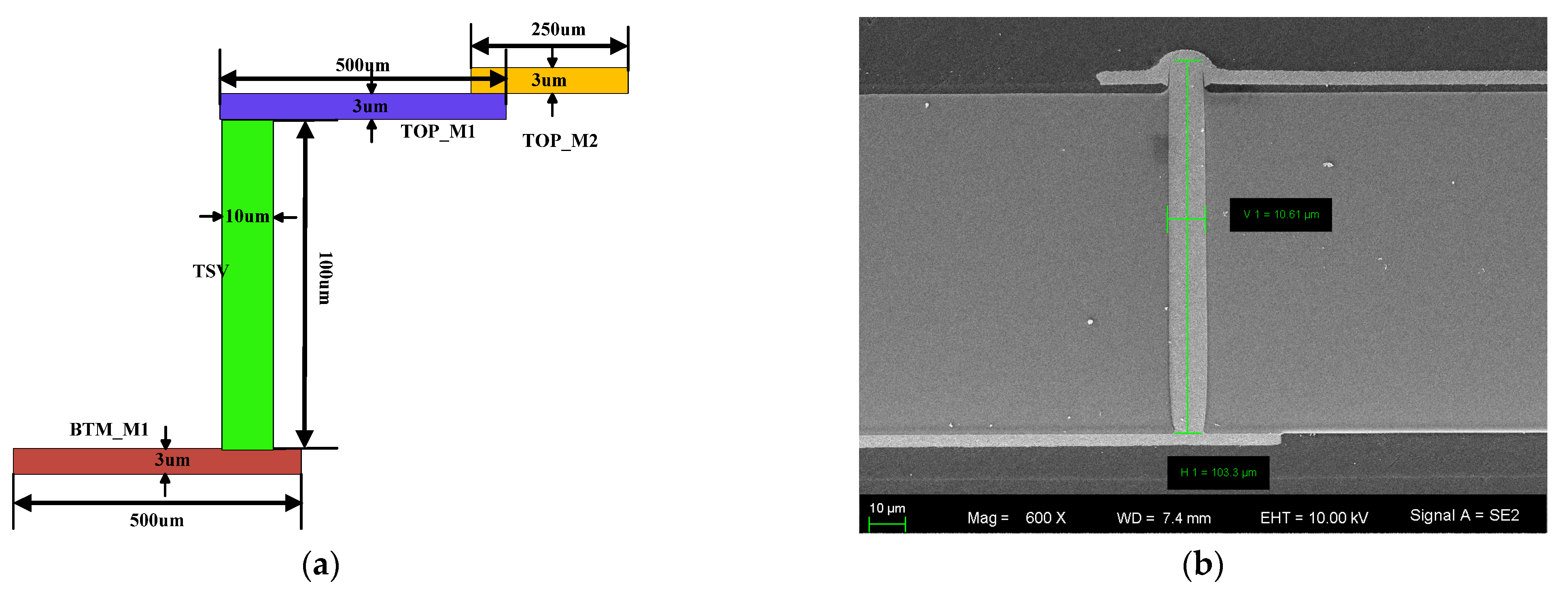Applsci 11 08148 g001