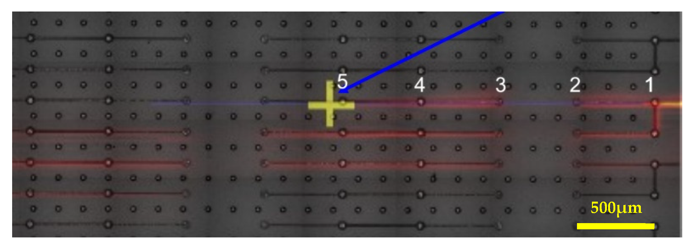 Applsci 11 08148 g010