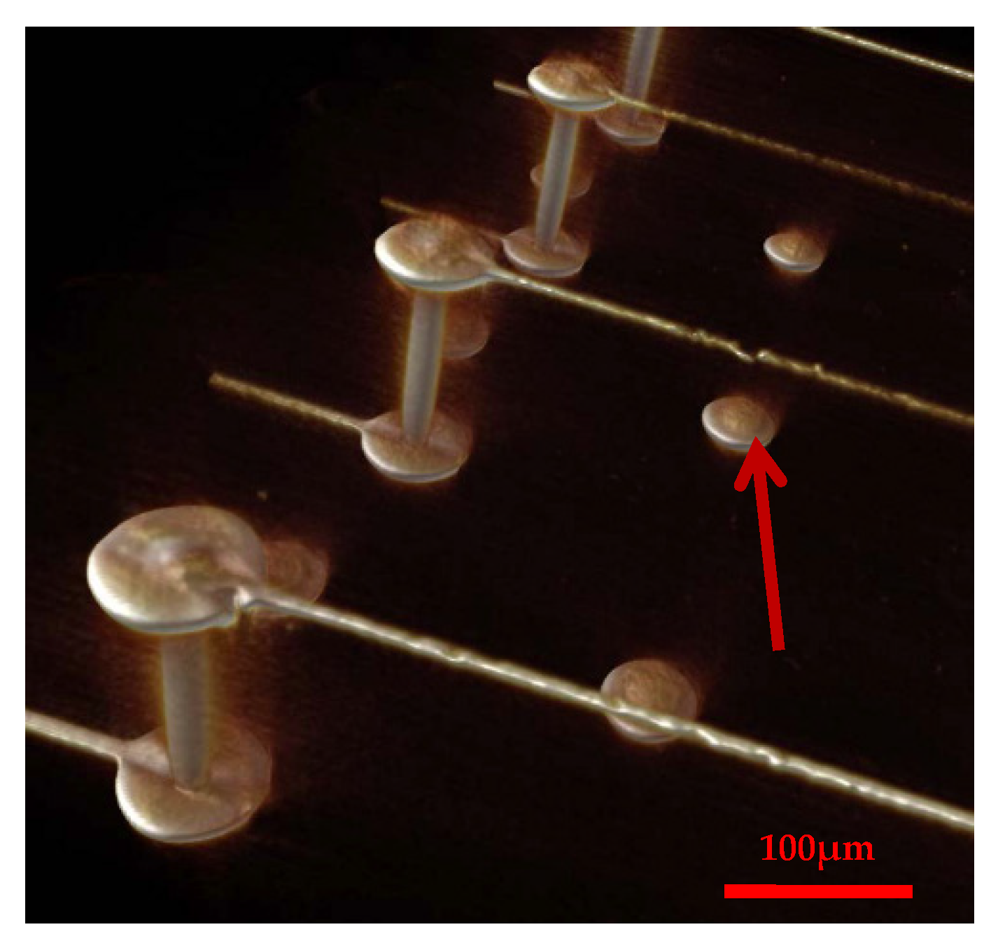 Applsci 11 08148 g014