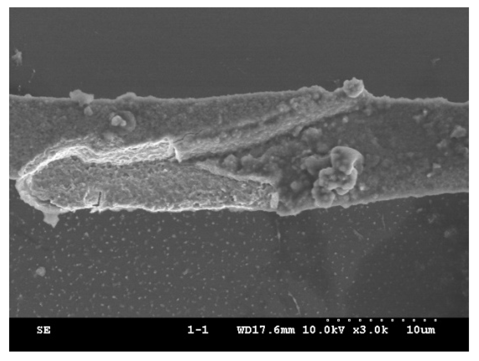 Applsci 11 08148 g017