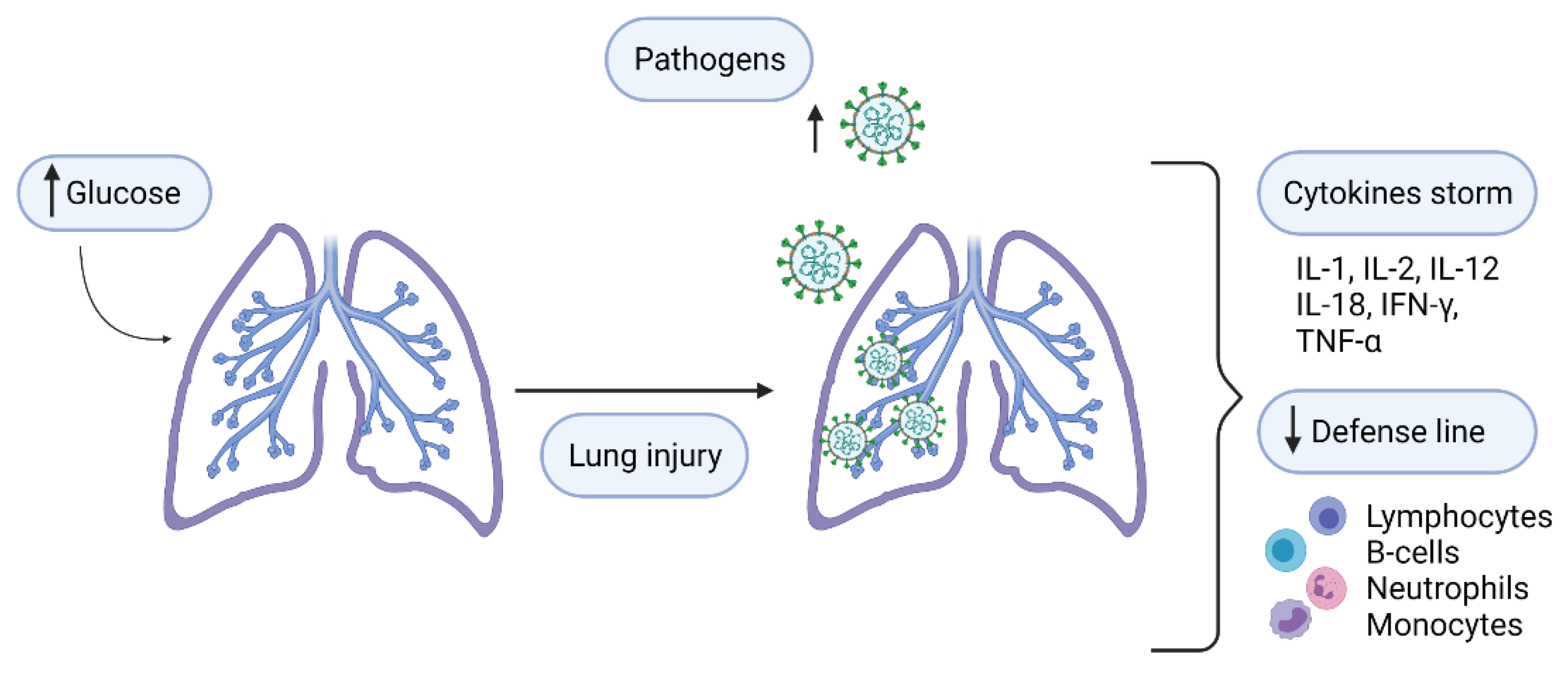 Applsci 11 08163 g001