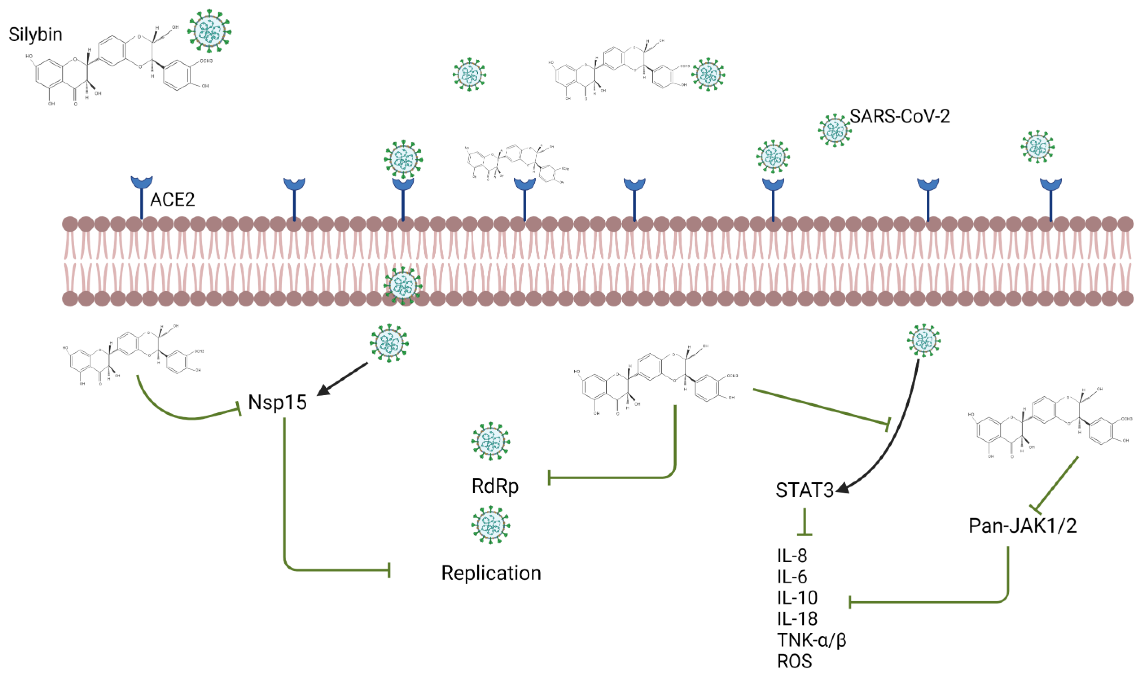 Applsci 11 08163 g003