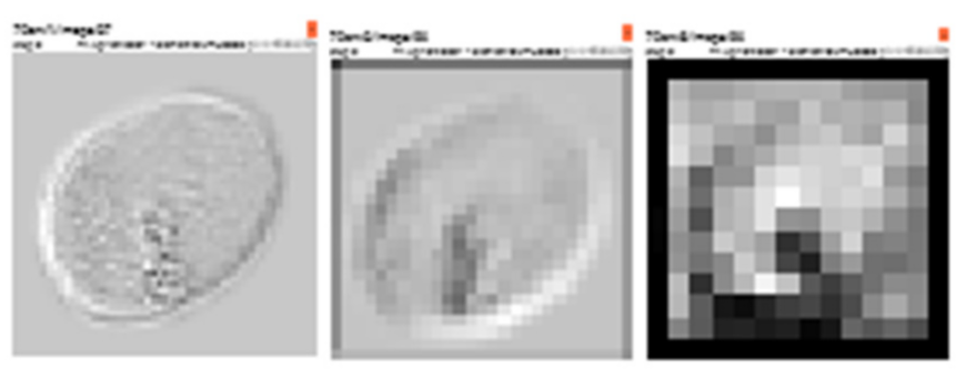 Applsci 11 08226 g011 Applsci 11 08226 g011